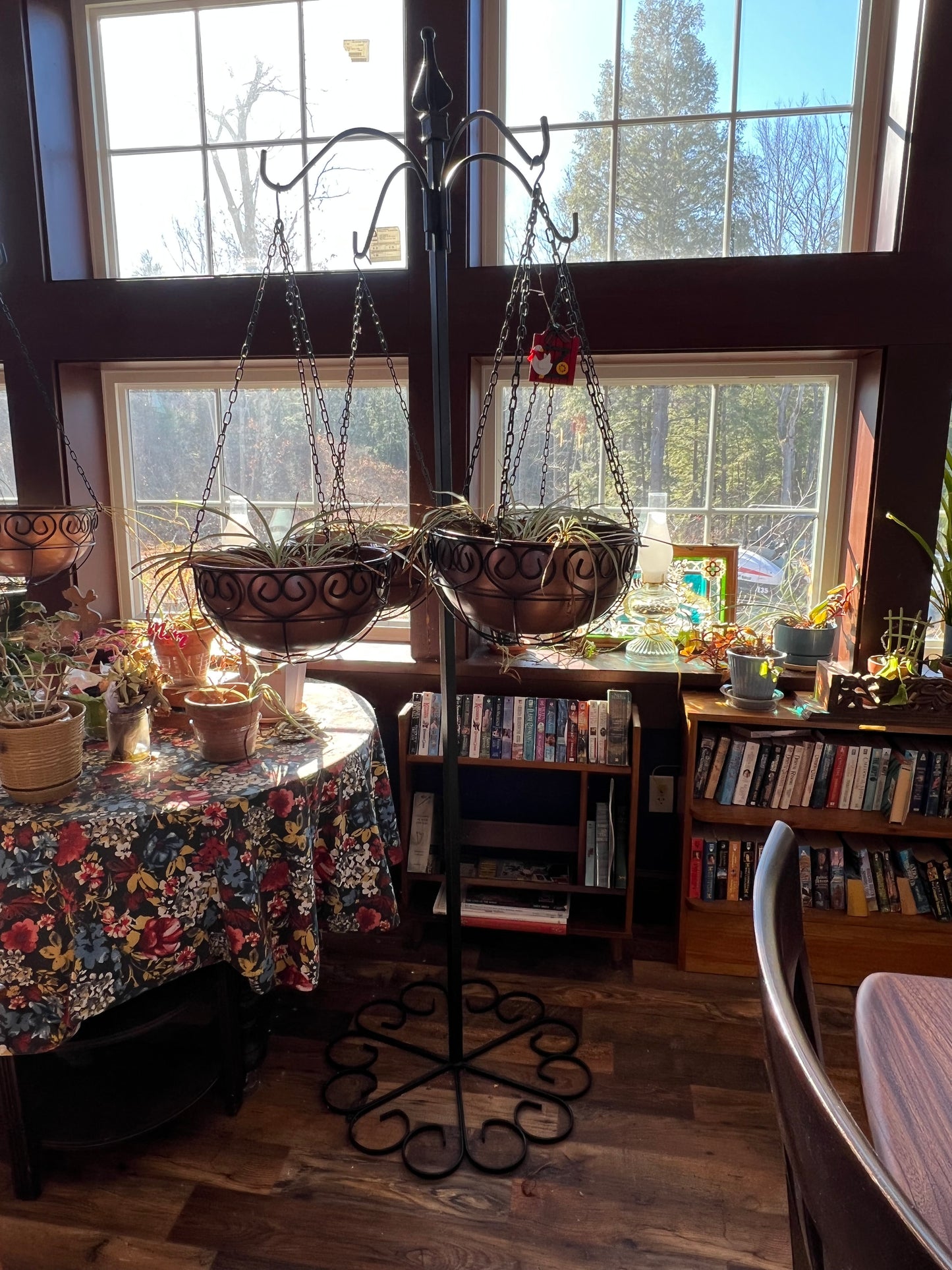 Library with books and growing plants