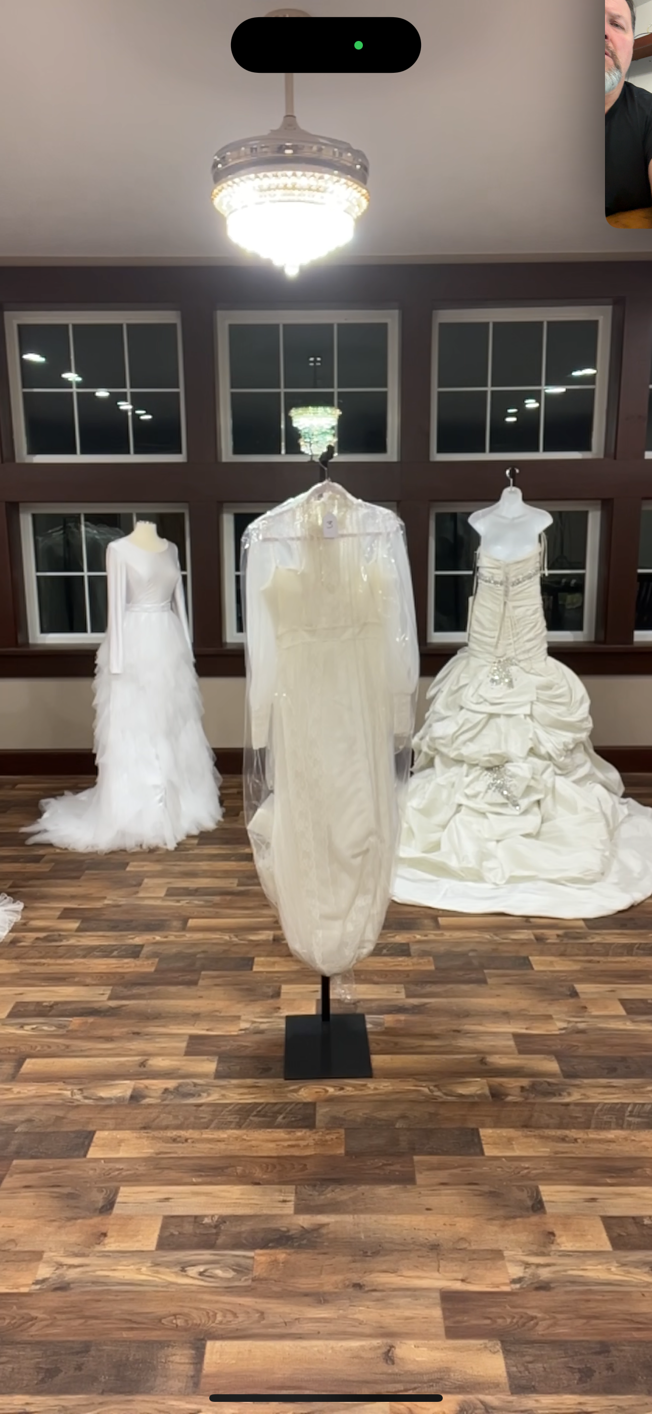 Wedding dresses on mannequins in a room with large windows.
