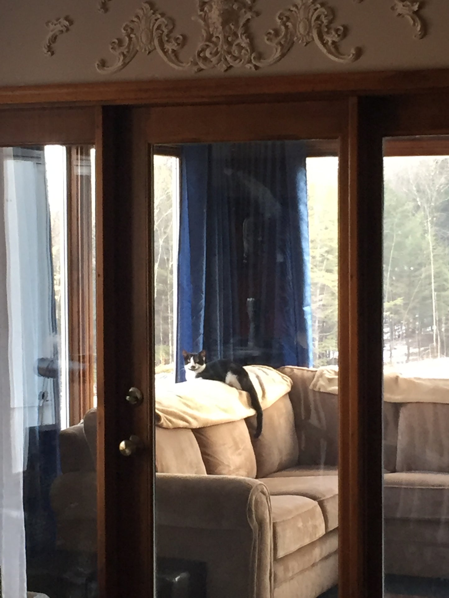 Window with blinds partially open, showing a couch and outdoor view.
