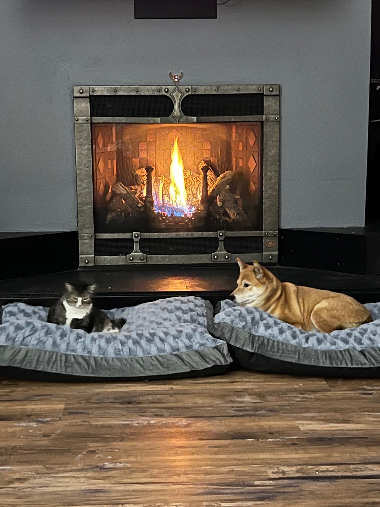 Two pets, a cat and a Sheba Inu  dog, in pet beds in front of a fireplace.  Nature View NH Estate