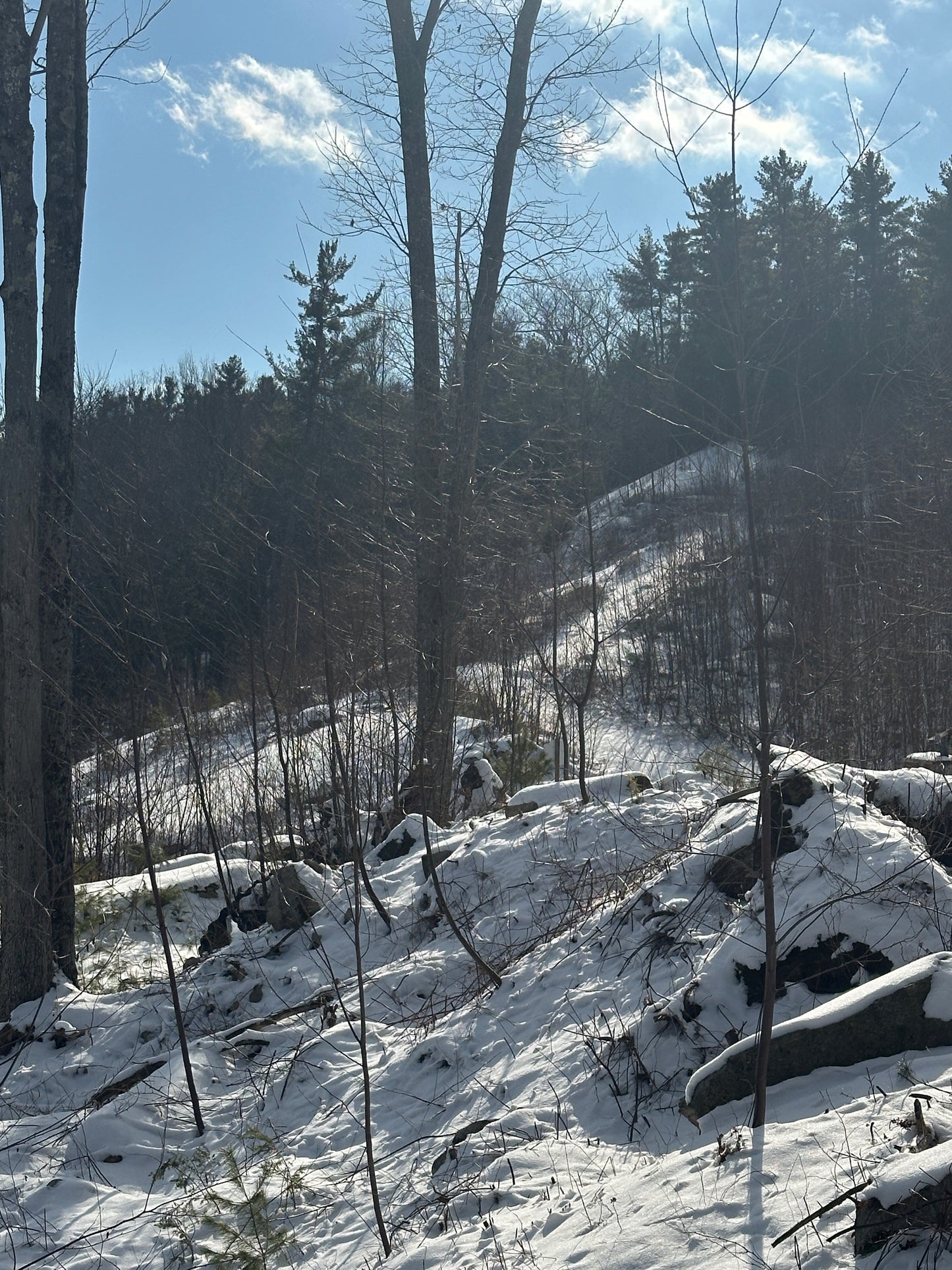 The mountain at The Nature View Estate