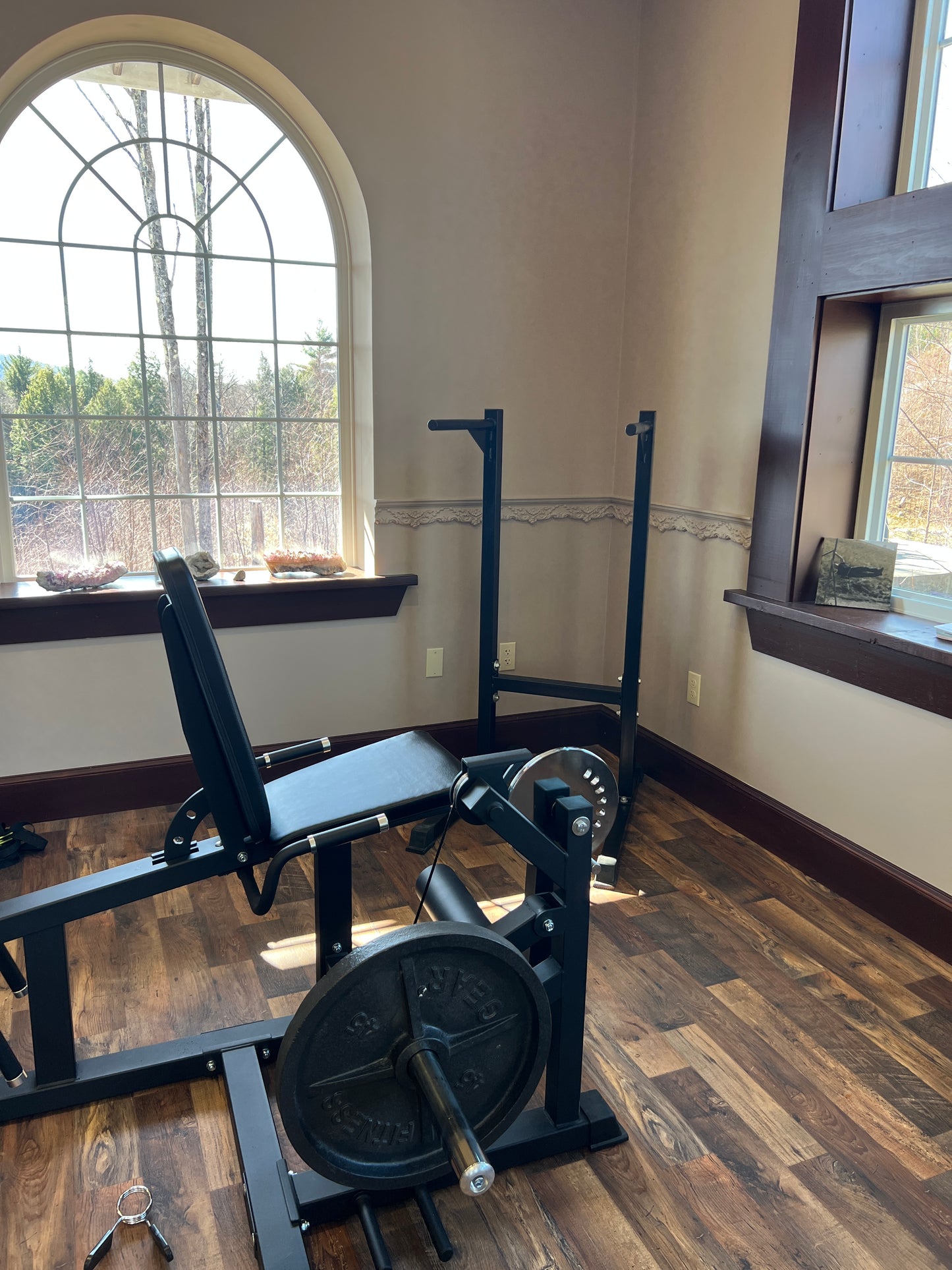 fitness studio setup with exercise equipment against a wall.