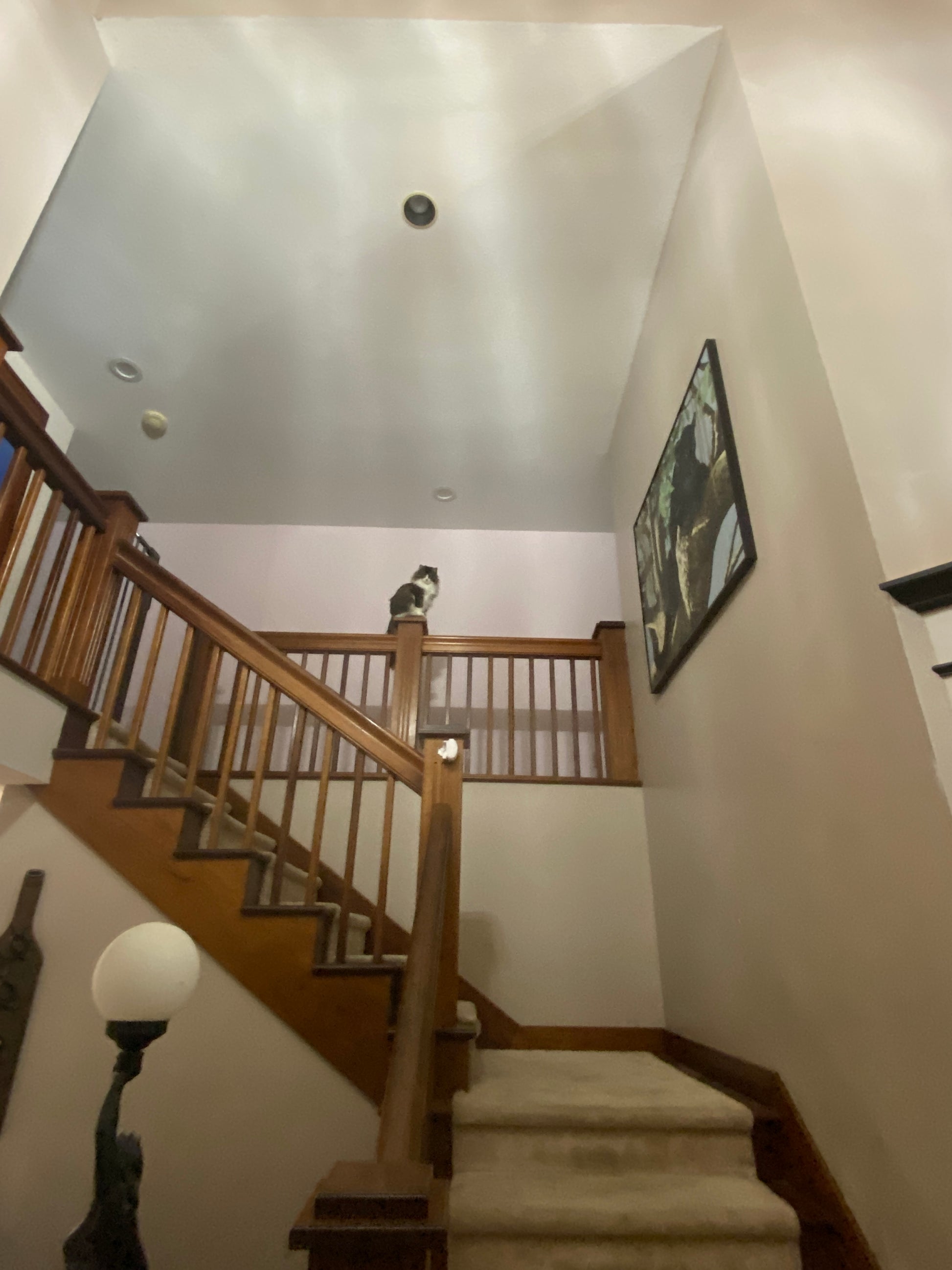 Wooden staircase in a home interior with light fixtures and walls. Nature View NH Estate