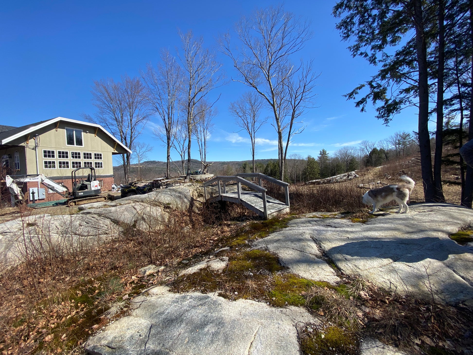 House with a deck and dog on a rocky landscape under a clear blue sky.