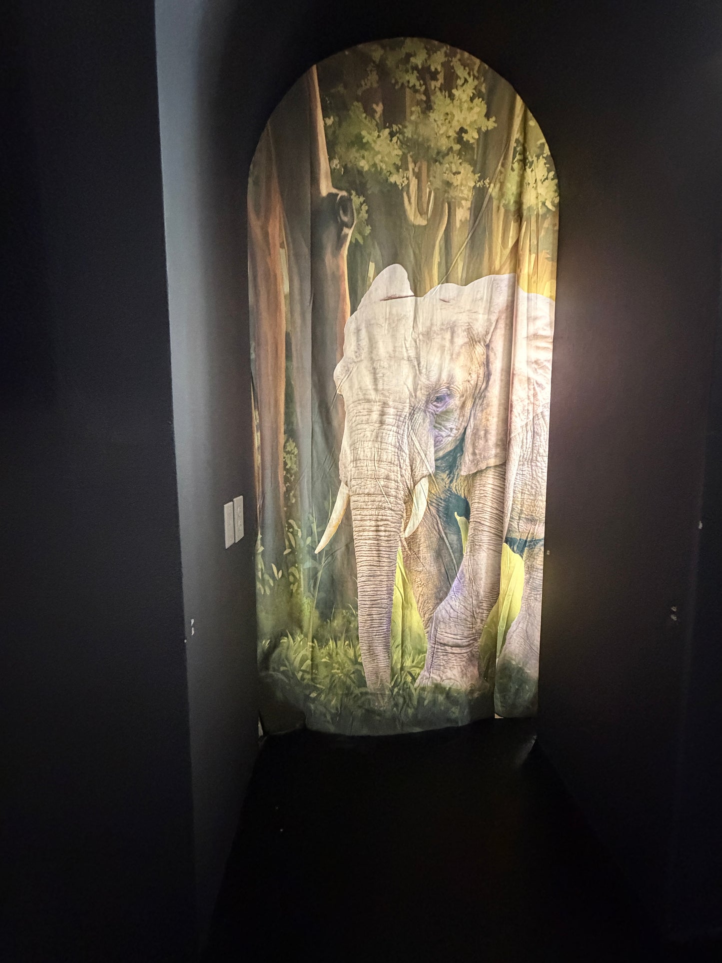 Illuminated elephant door background on a dark surface