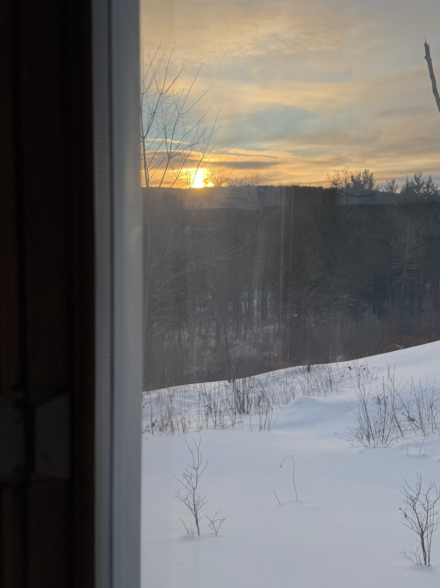 Frosty window with a view of trees and a light source outside