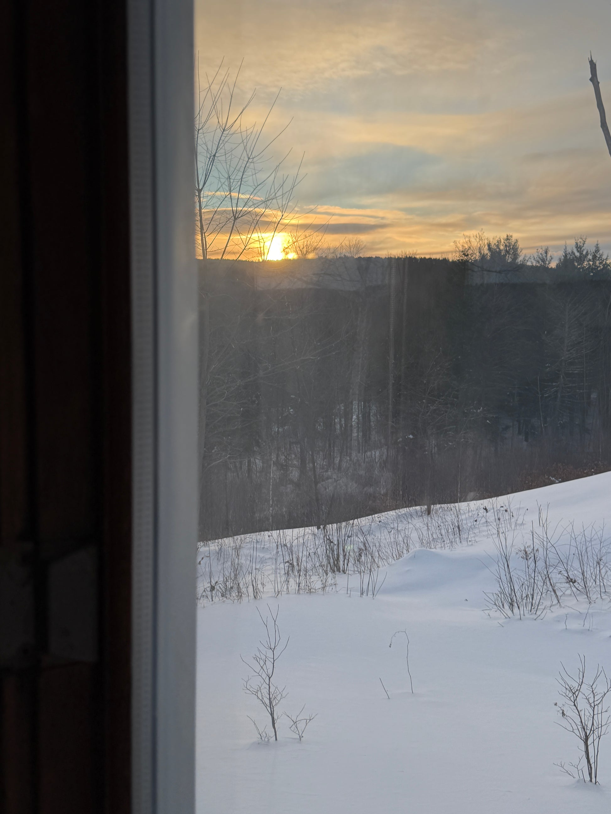 Frosty window with a view of trees and a light source outside