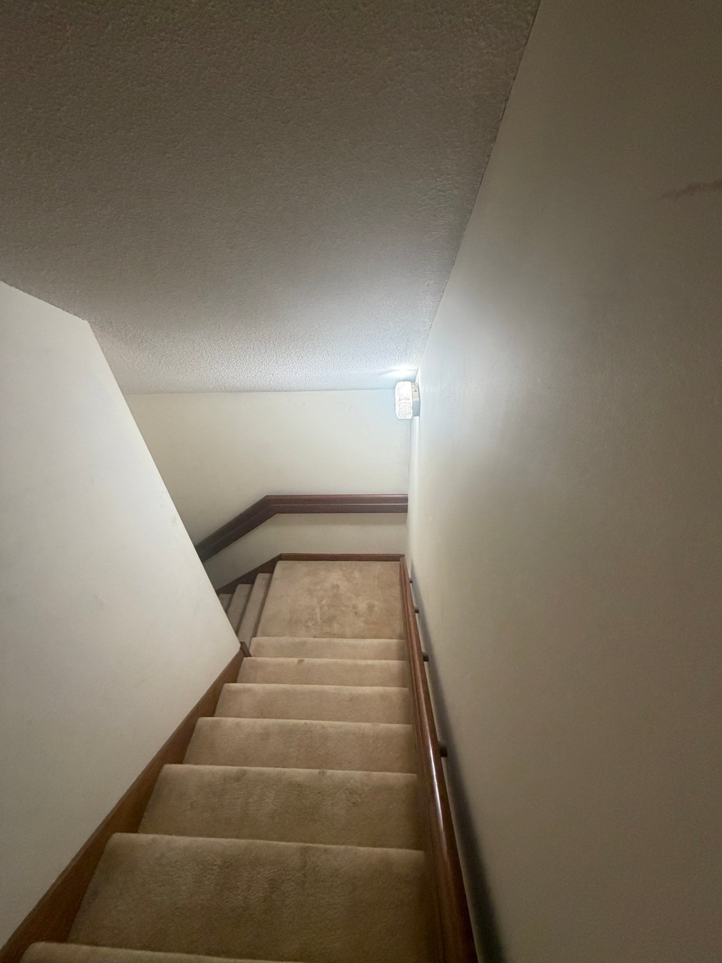 Mahogany Stairway