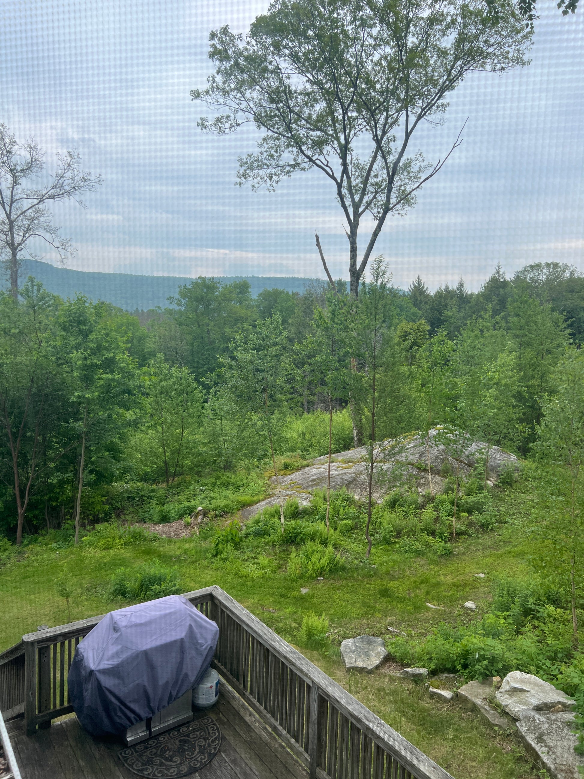 View from a deck overlooking beautiful landscape with trees and grass.