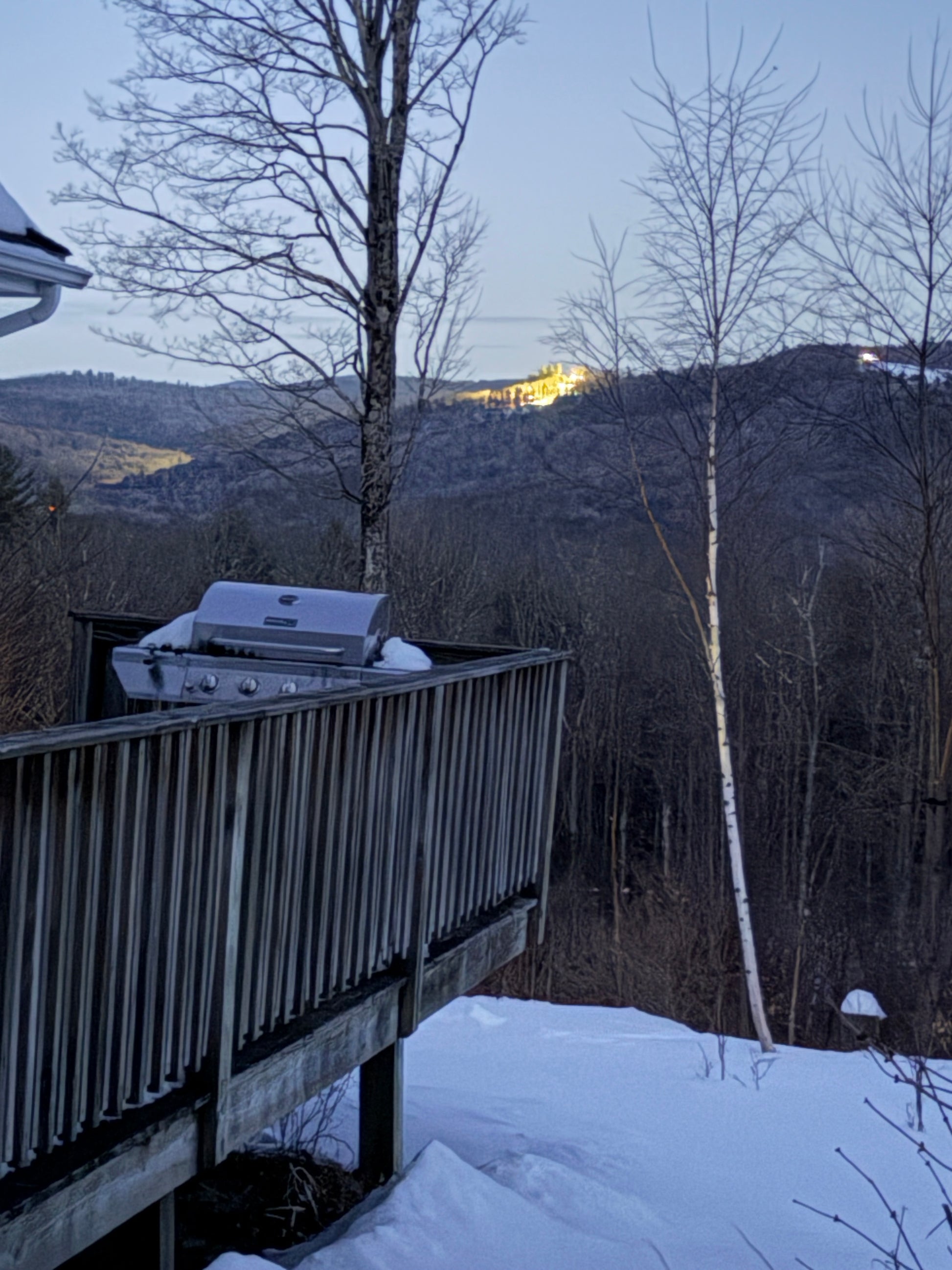 Winter scene with a ski slope in distance on a snowy view.