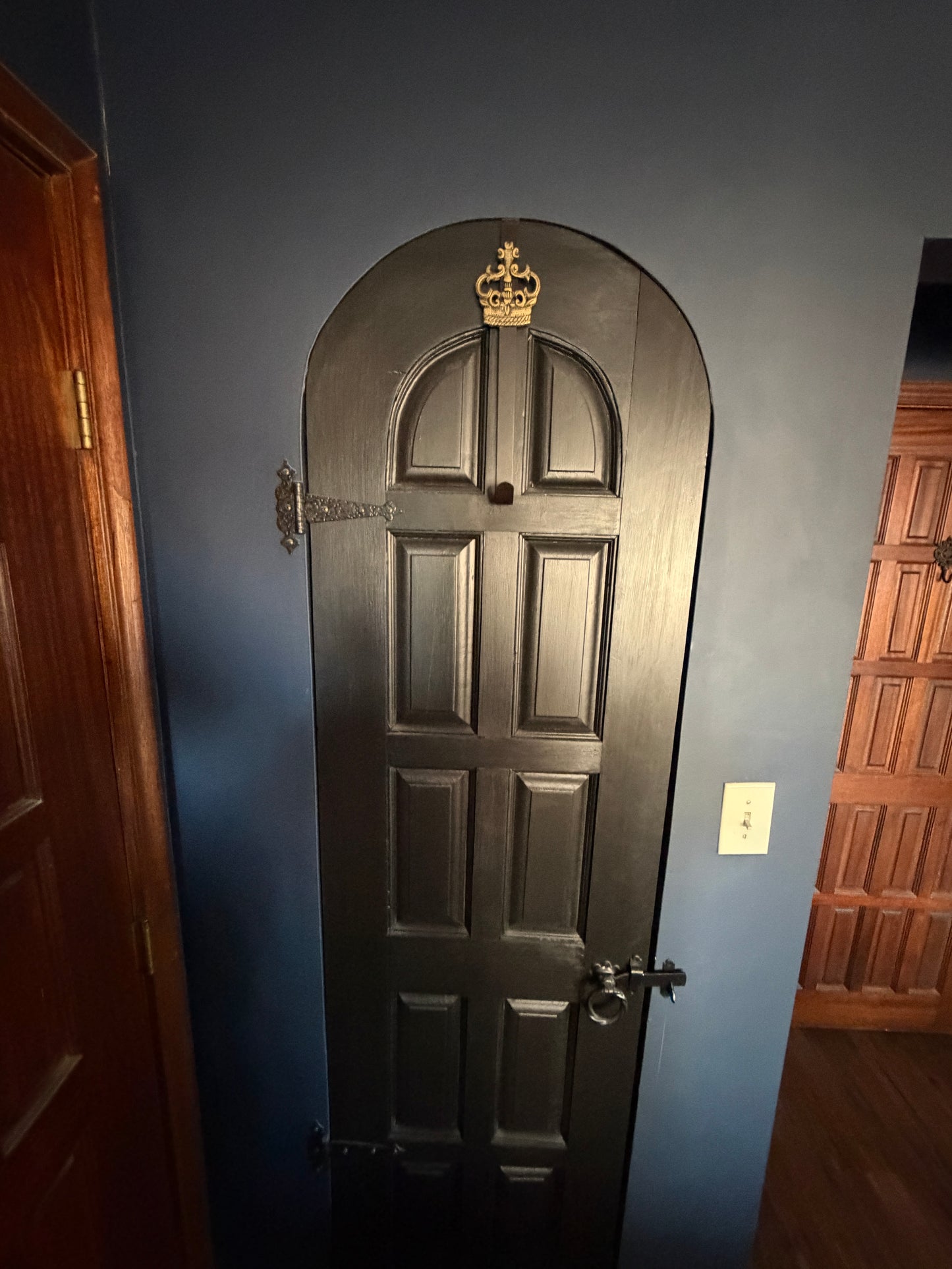 Decorative arched  door  with 10 panels with intricate designs on a dark background
