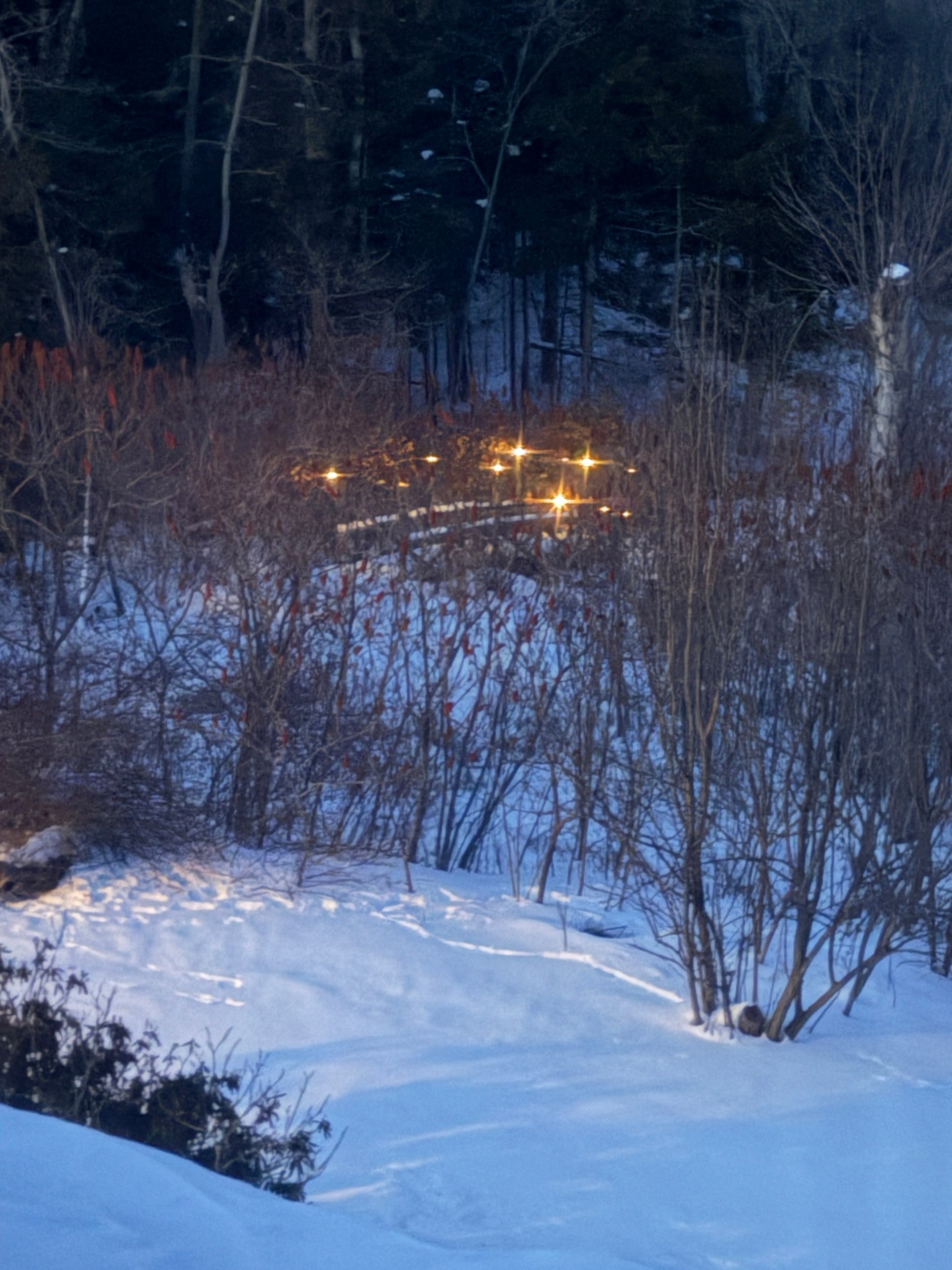 Snowy landscape with trees and a light source reflecting on the snow