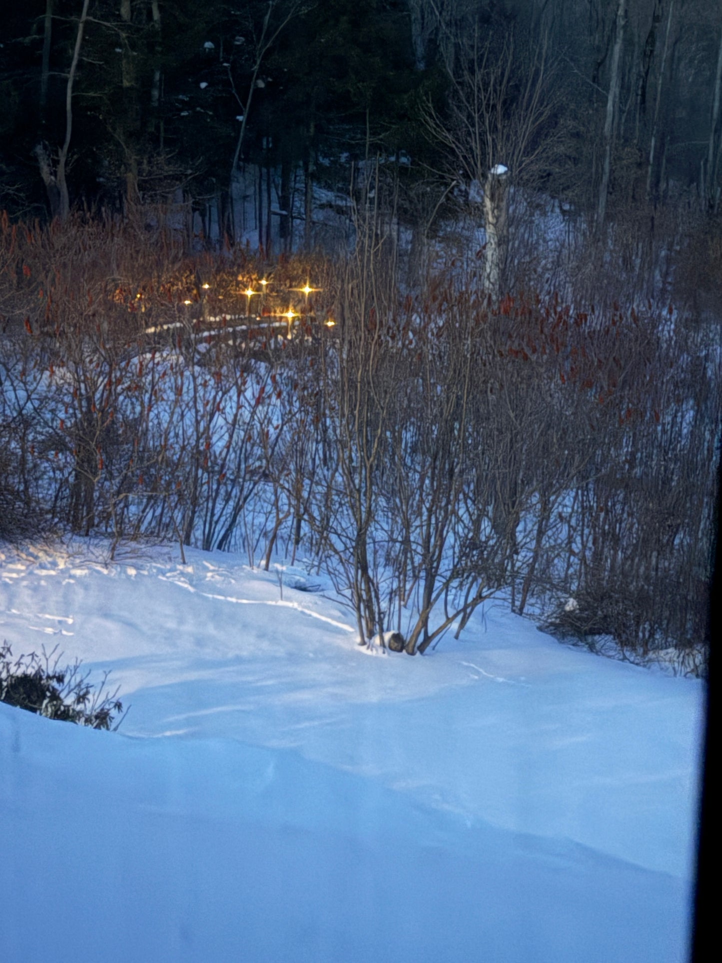 Winter scene with snow-covered  bridge reflecting light off the  ground and bare trees.