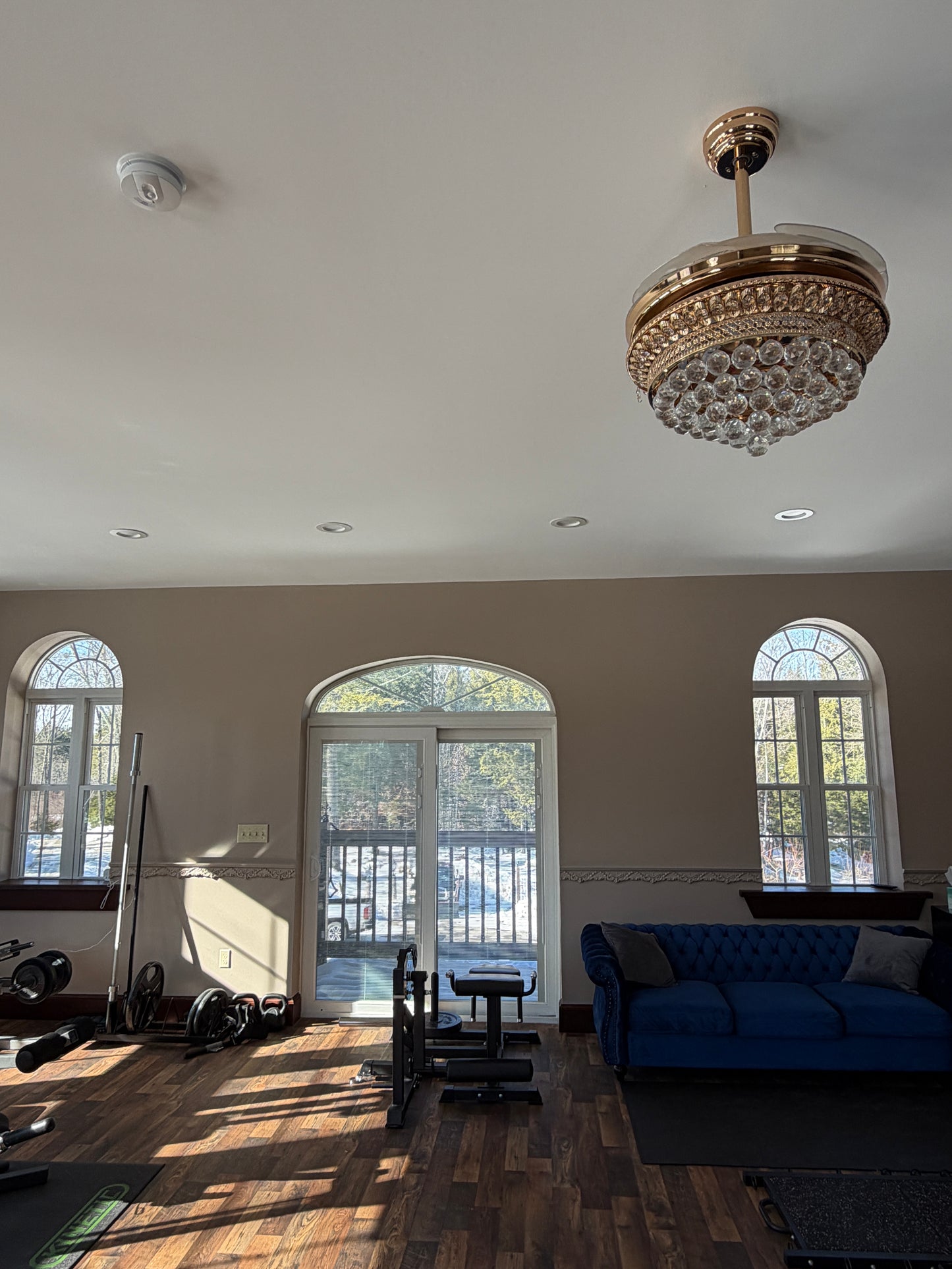 Library room looking out to the front thru arched windows and door