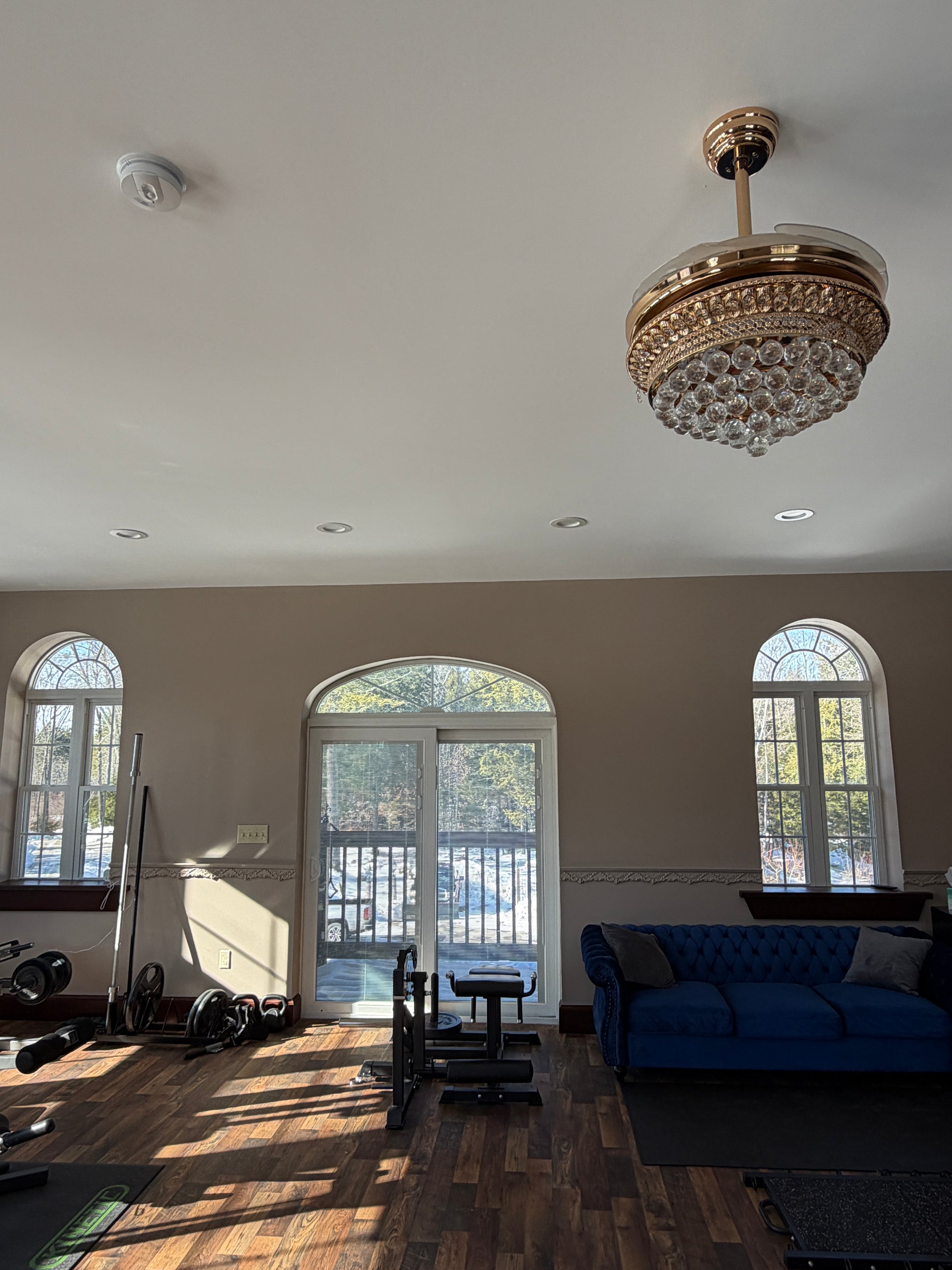 Library room looking out to the front thru arched windows and door