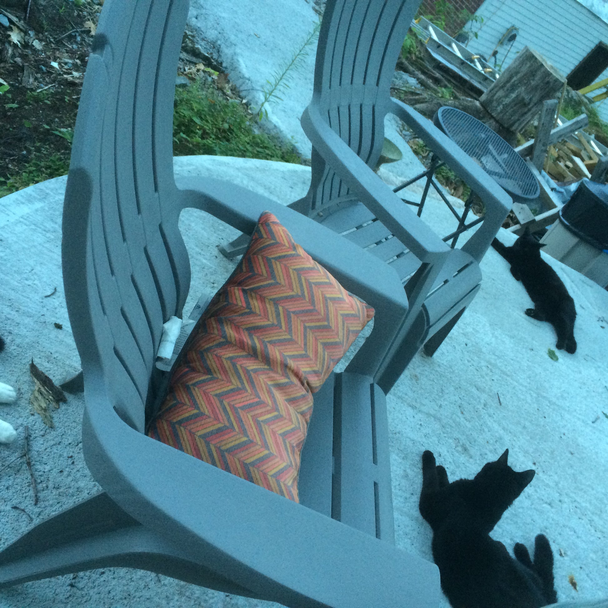 Gray outdoor chair with a colorful pillow and two black cats on a snowy patio.