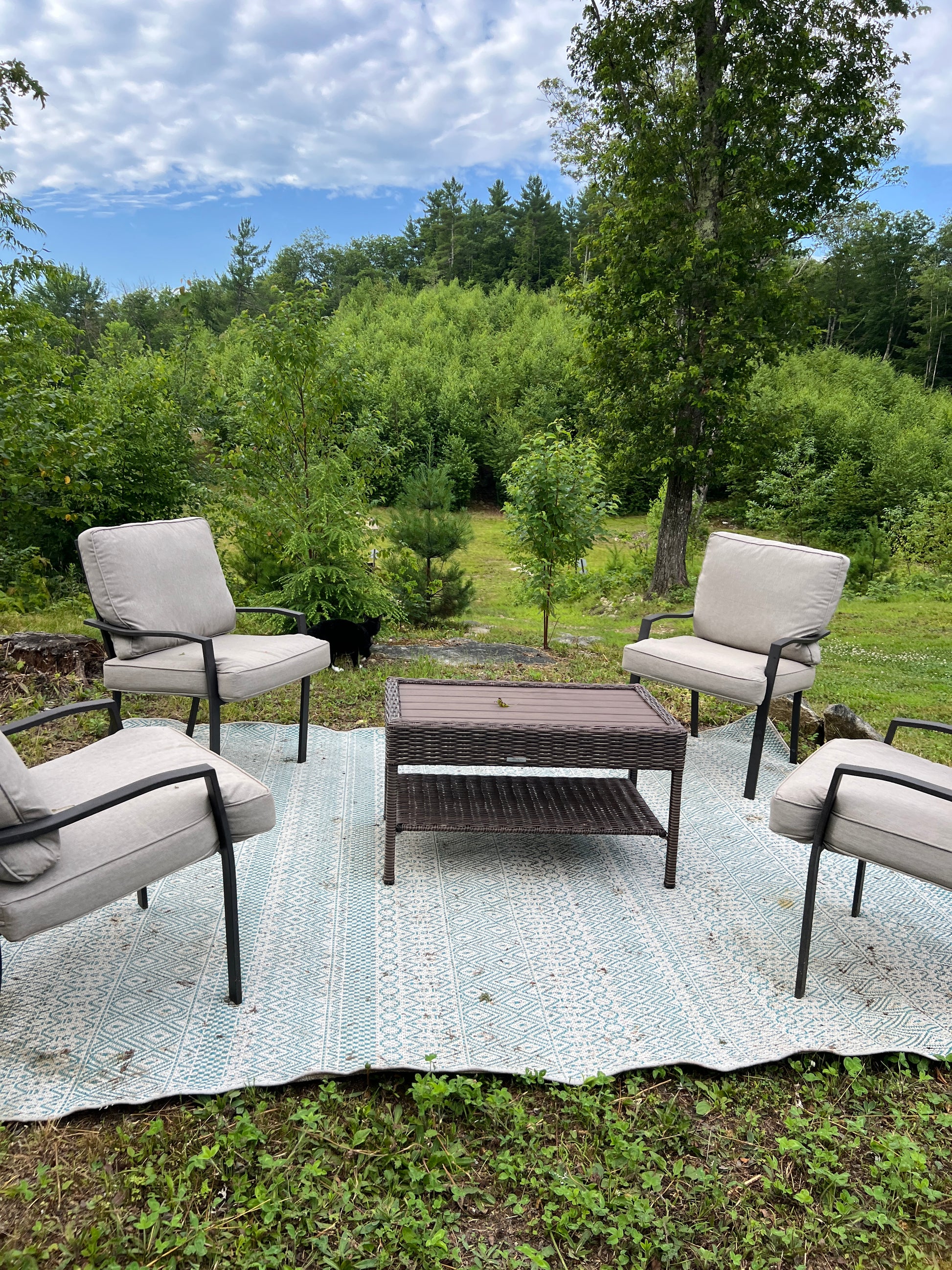 Outdoor patio set with chairs and table on a stone patio with trees in the background