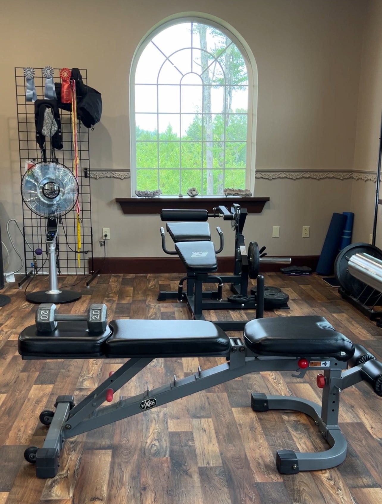Home gym with weight bench, dumbbells, and exercise bike in a room with wooden flooring and a large window.
