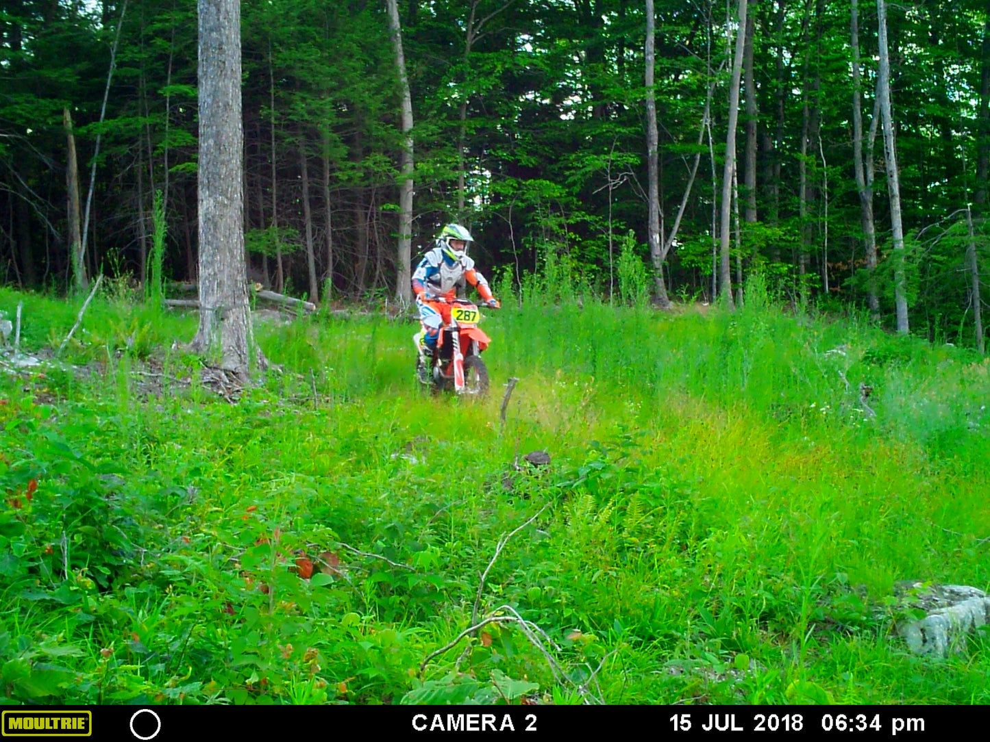 Person riding a dirt bike  on the course through a forested area with Moultrie camera branding.