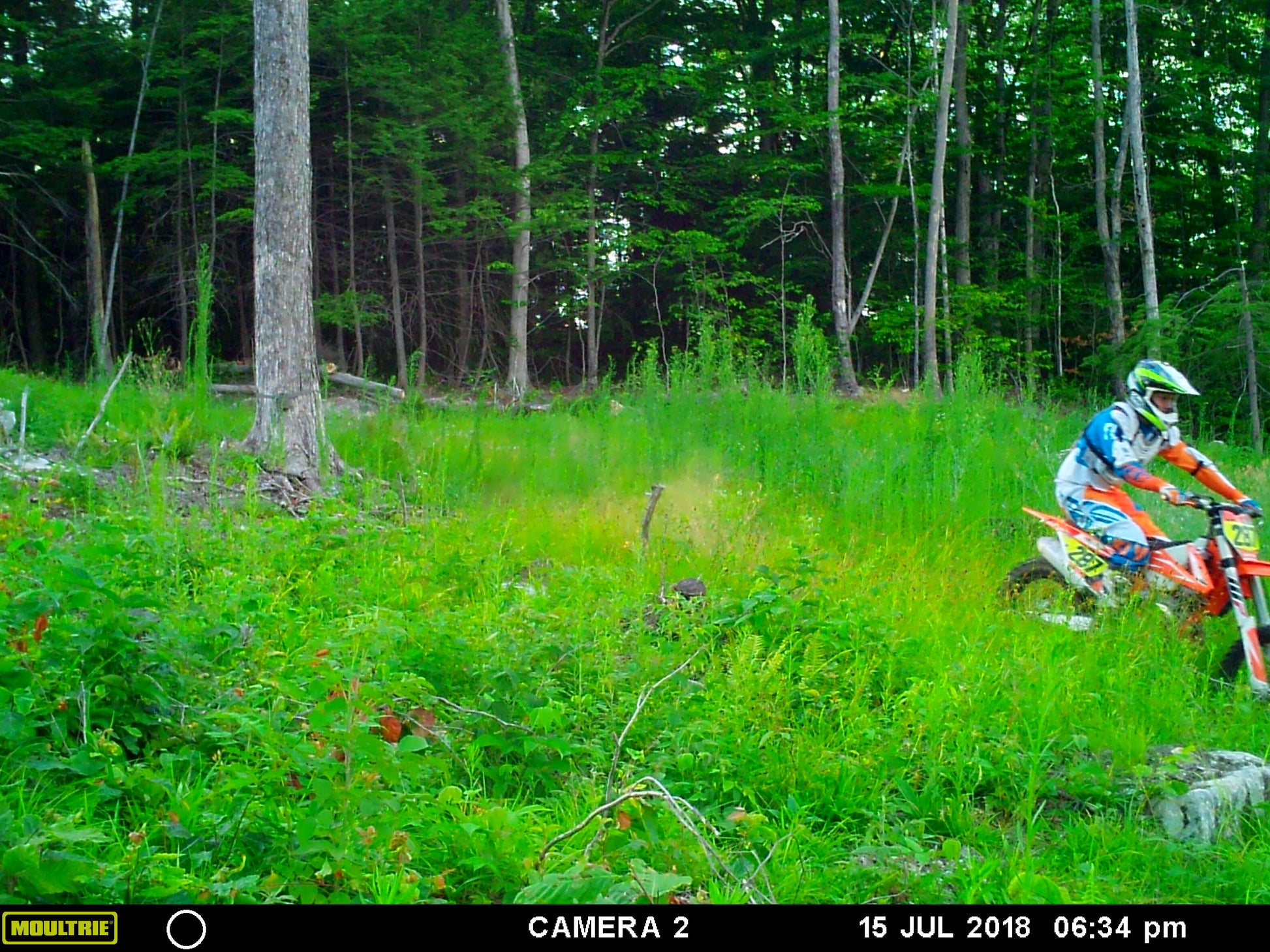 Person riding a ktm 350 xcf dirt bike through a grassy forest area with Moultrie camera branding.