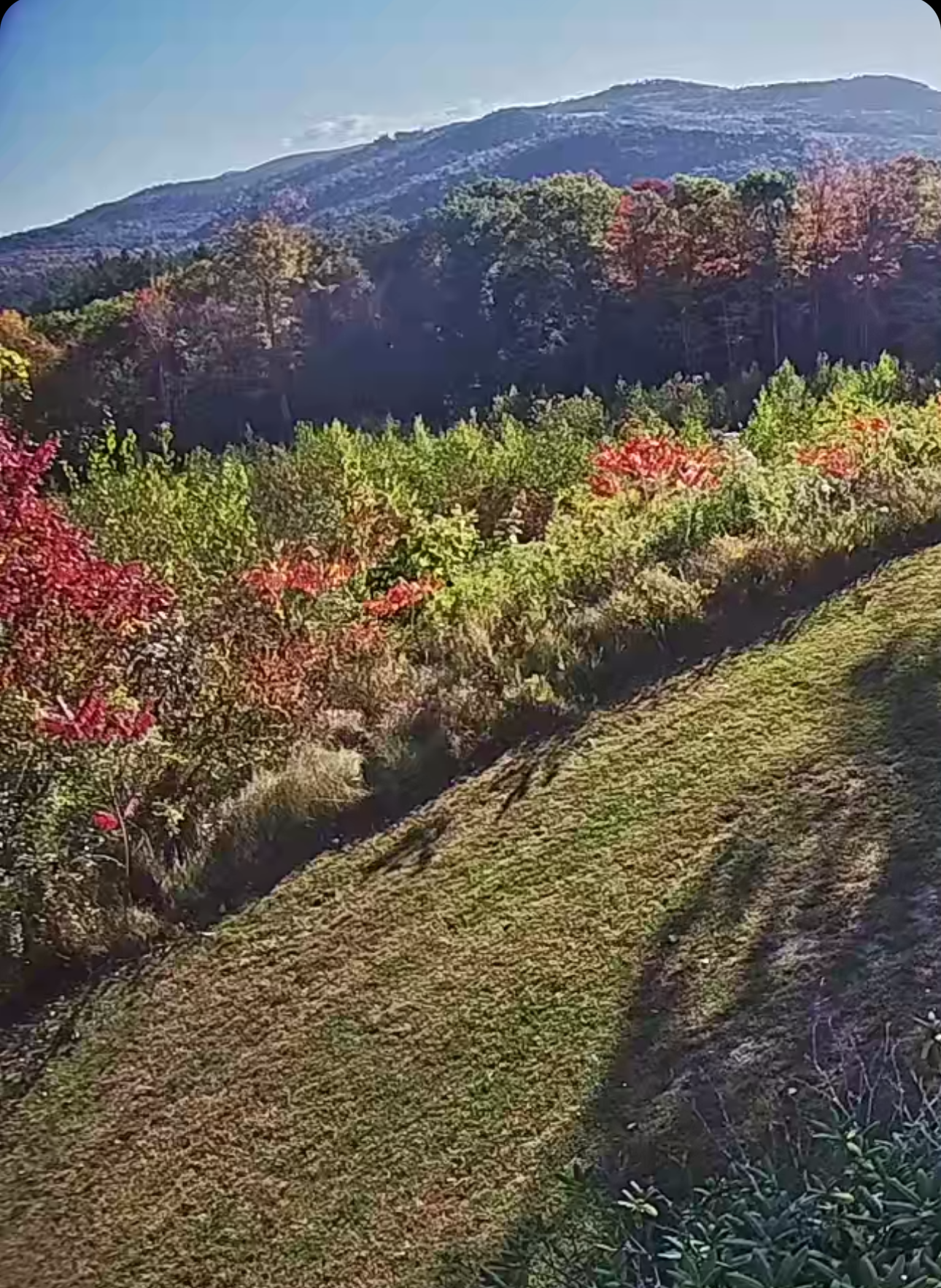 Scenic view mountains in the background. Mountain view from upstairs Bedroom Nature View NH Estate