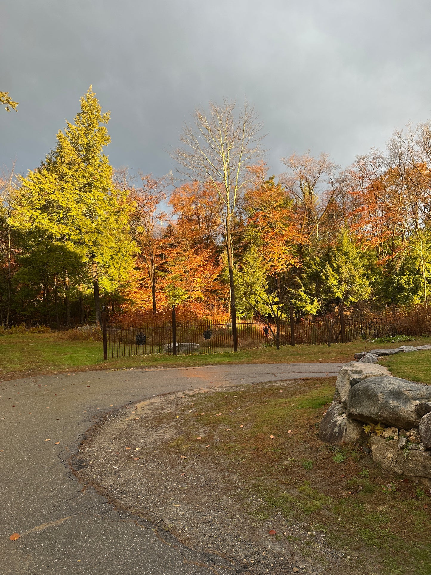 Autumn trees with changing leaves next to a road and rocks.