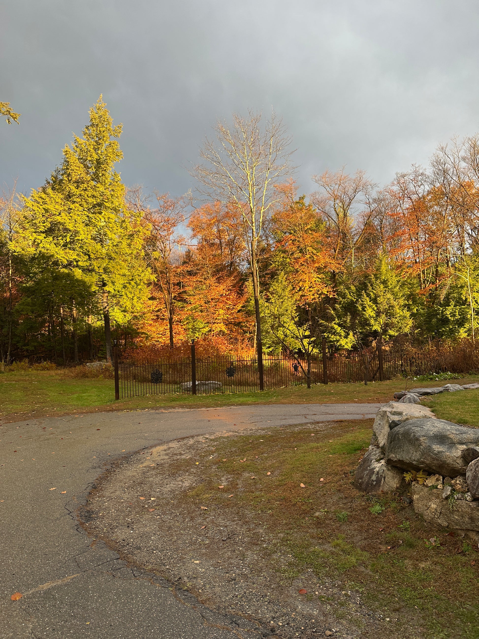 Autumn trees with changing leaves next to a road and rocks.