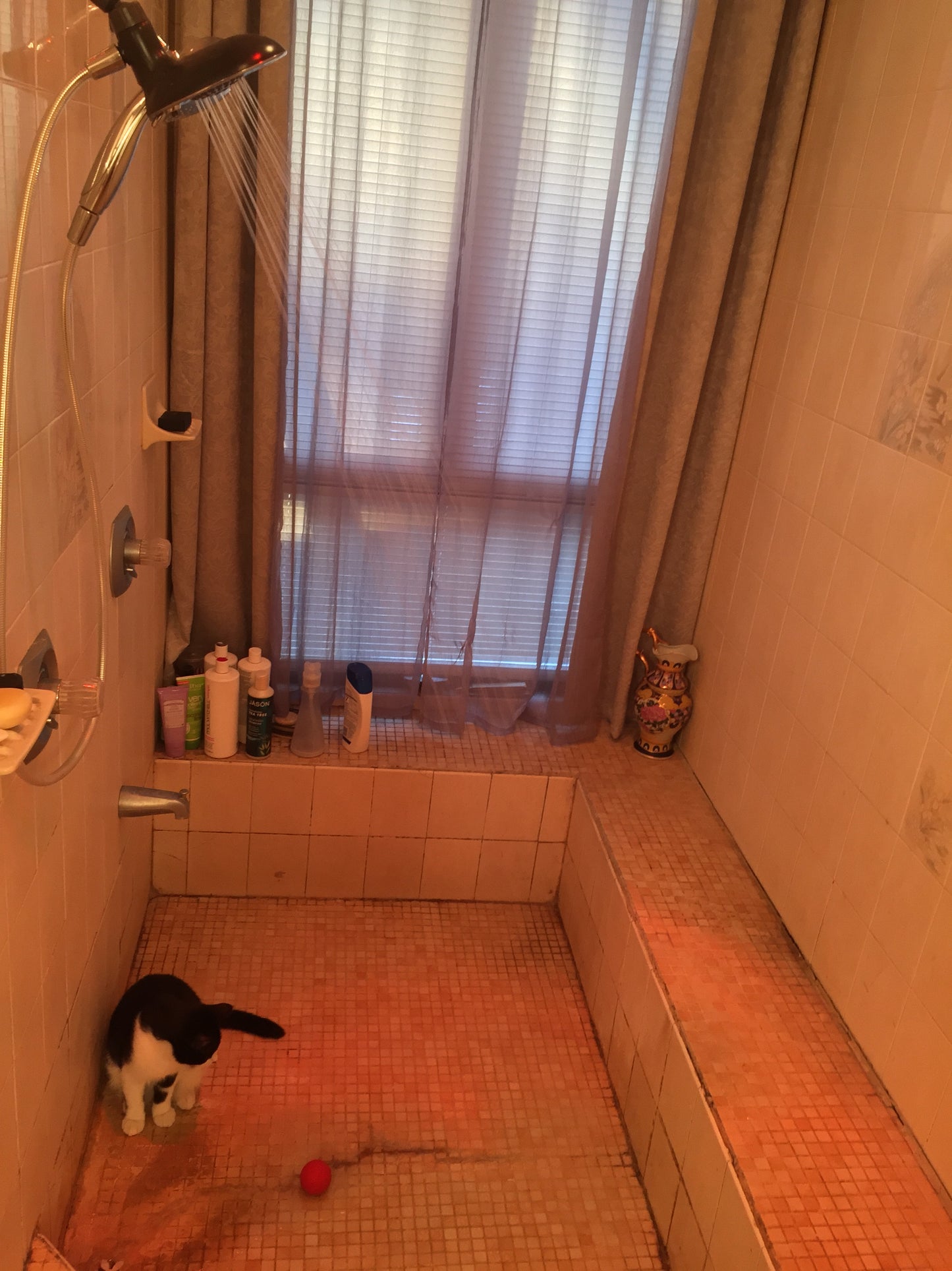 Bathroom interior with tiled walls, a window with blinds, and a cat on the floor.