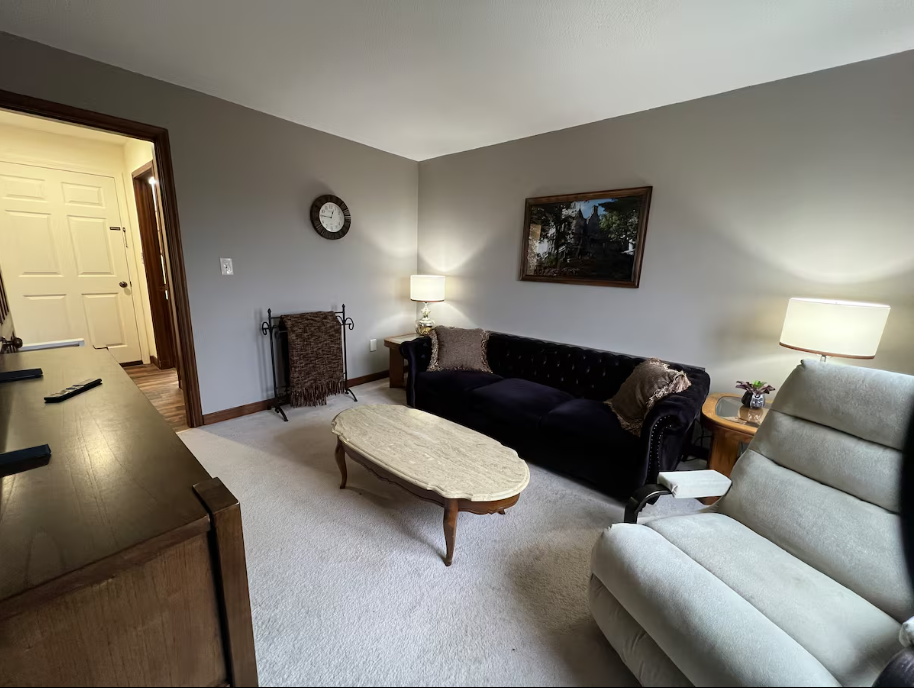 Living room with a dark sofa, light gray armchair, and coffee table.