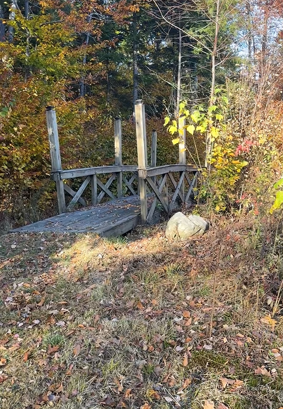 Wooden bridge over a small stream in a forest with autumn foliage
