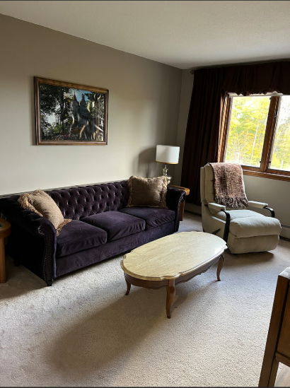 Living room with a dark purple sofa, beige armchair, and a lamp near a window.