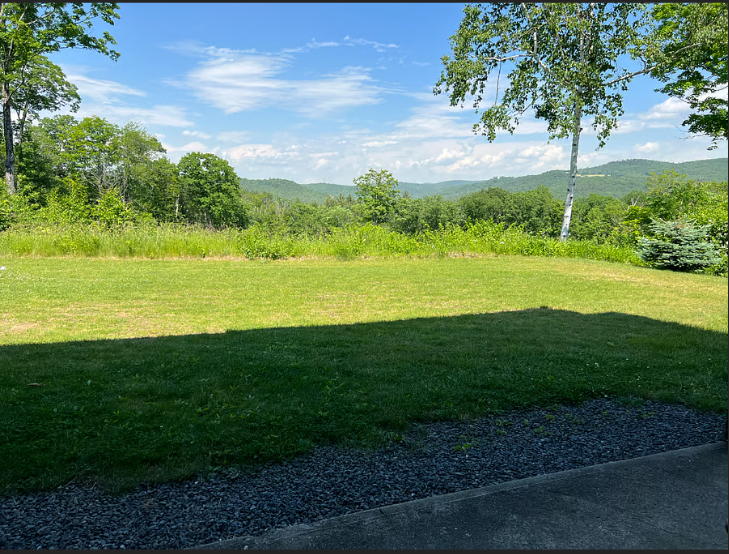 Lawn with trees and mountains in the background