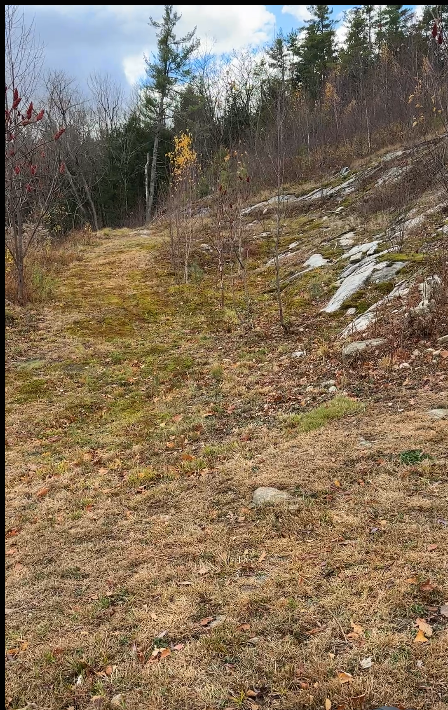 The mountain at The Nature View Estate