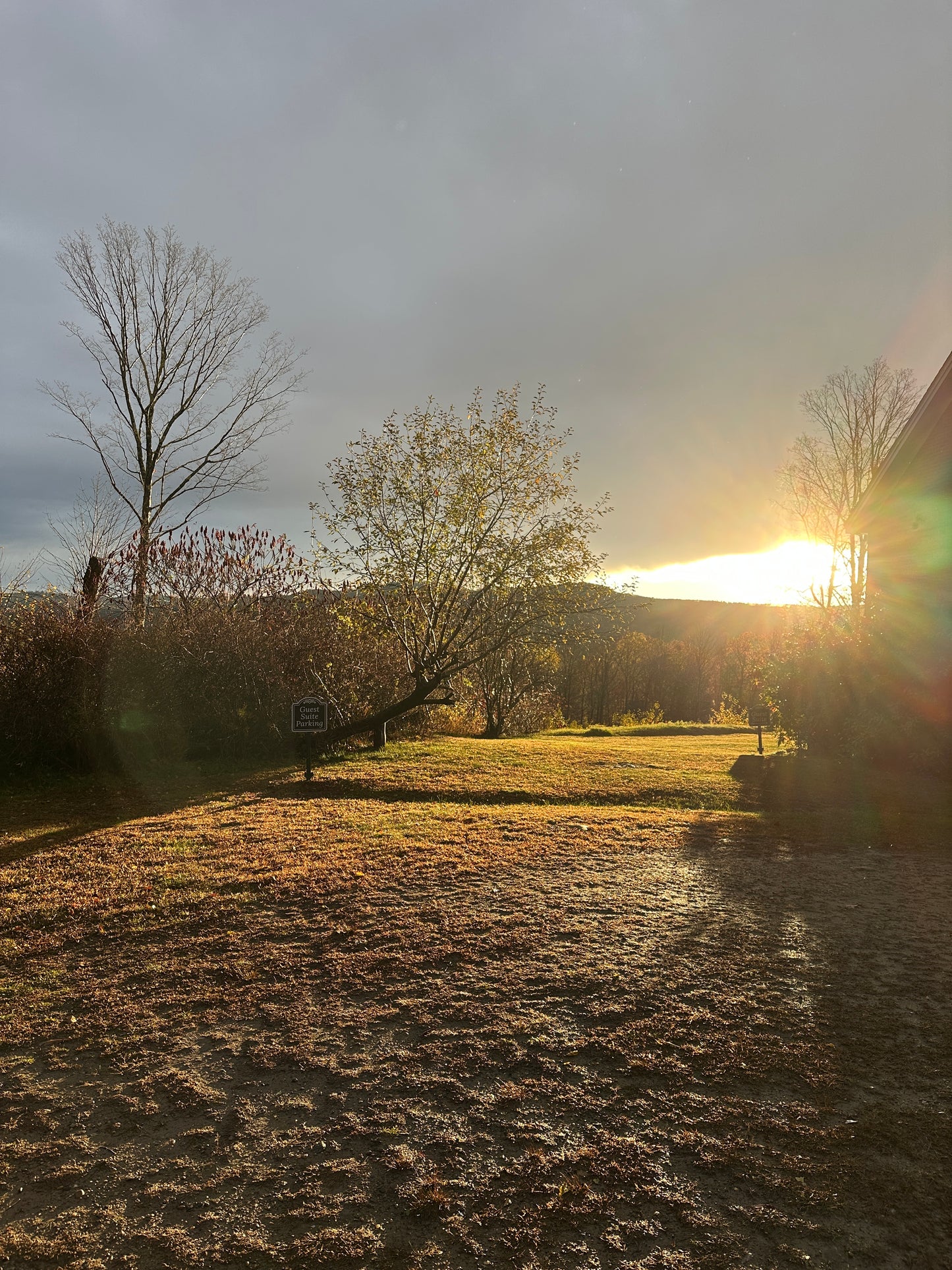 Sunset over a manicured lawns foggy landscape with bare trees and a wall.