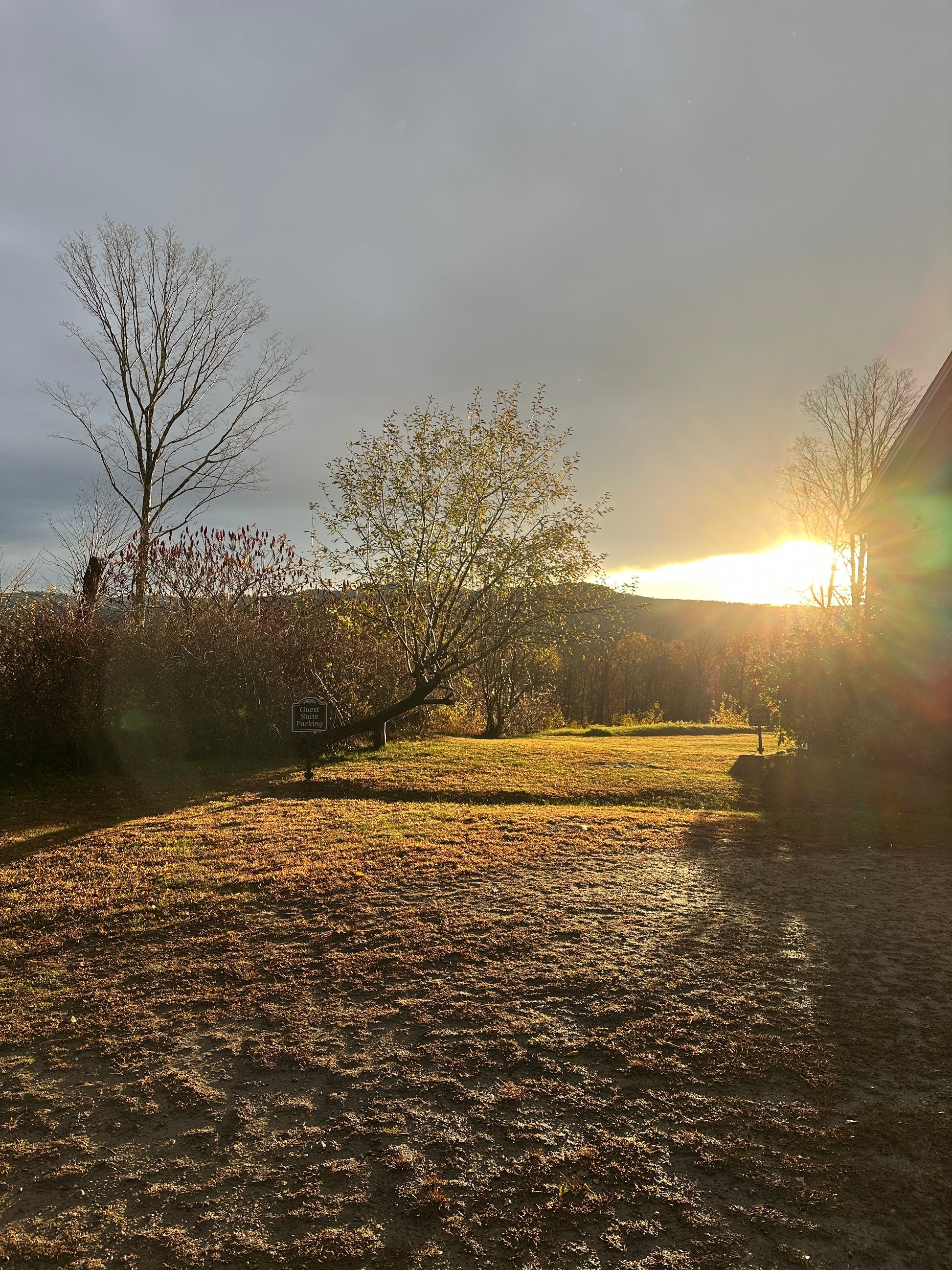 Sunset over a manicured lawns foggy landscape with bare trees and a wall.