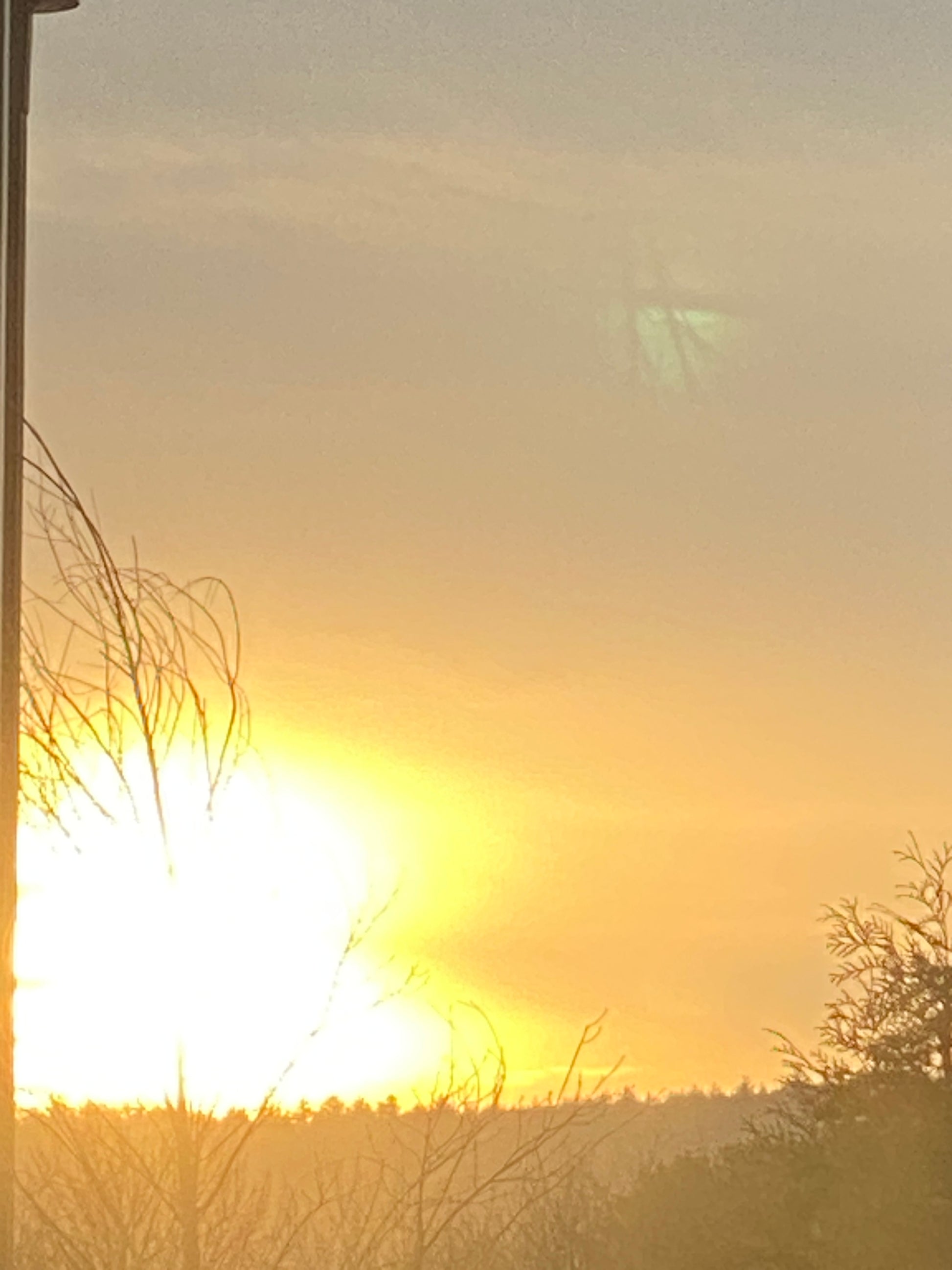 Sunrise or sunset with trees and a rainbow in the sky