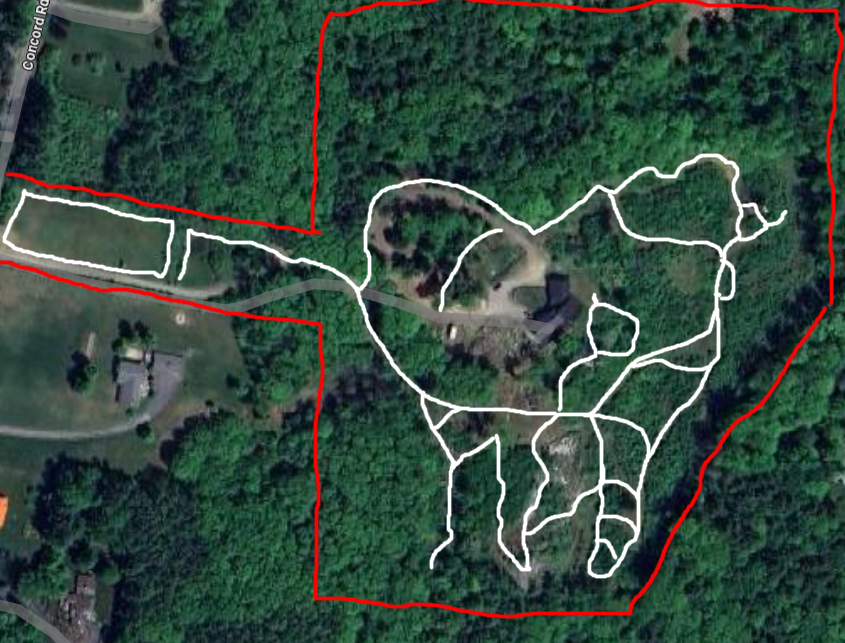 Aerial view of a forested area with white outlines of trails and red borders of the property lines.