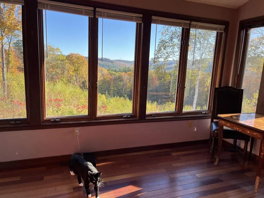 Sunroom with large windows showing a scenic view of trees with autumn colors.