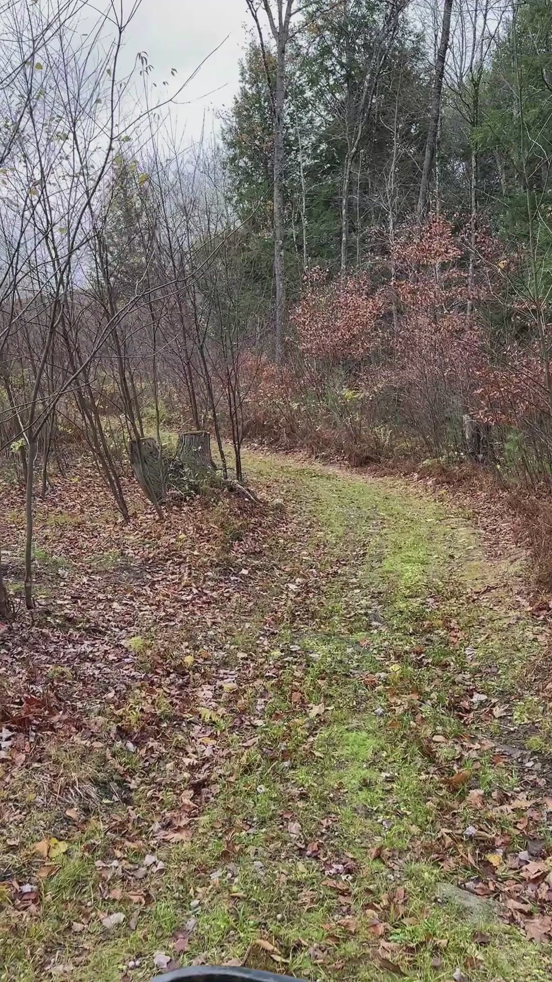 Bear loop looking down trails
