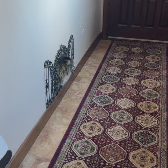 Cat door in the hall way