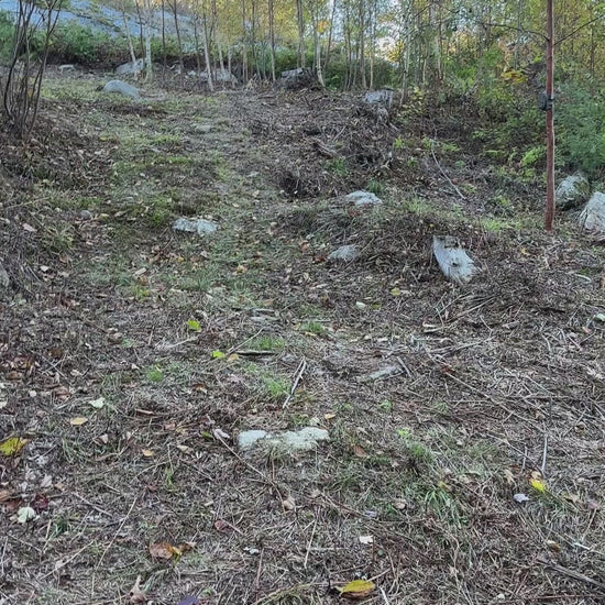 Video of the  back loop of the trail system