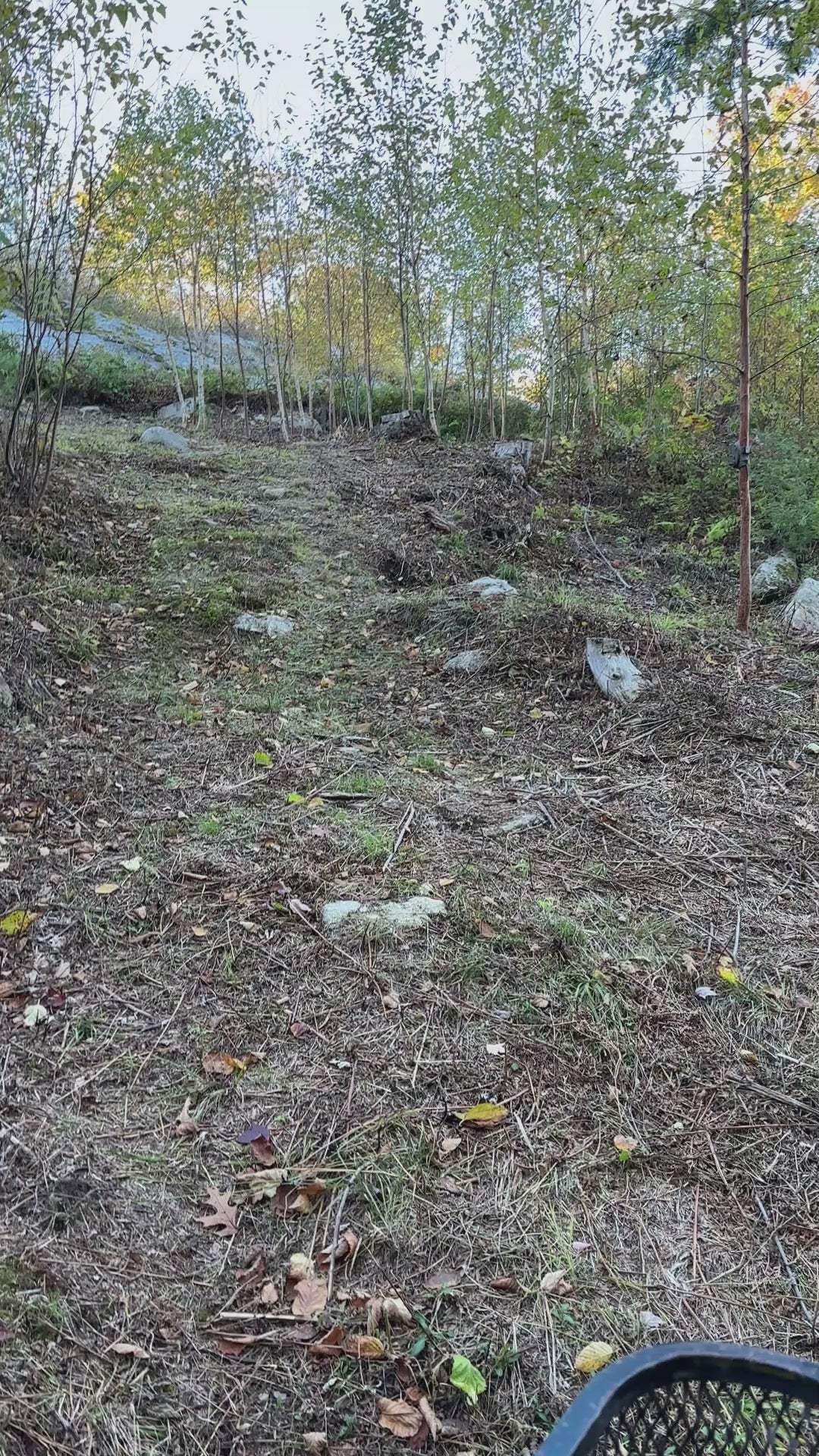 Video of the  back loop of the trail system
