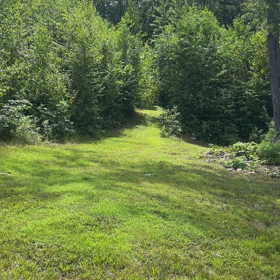 Up the middle of the mountain trail