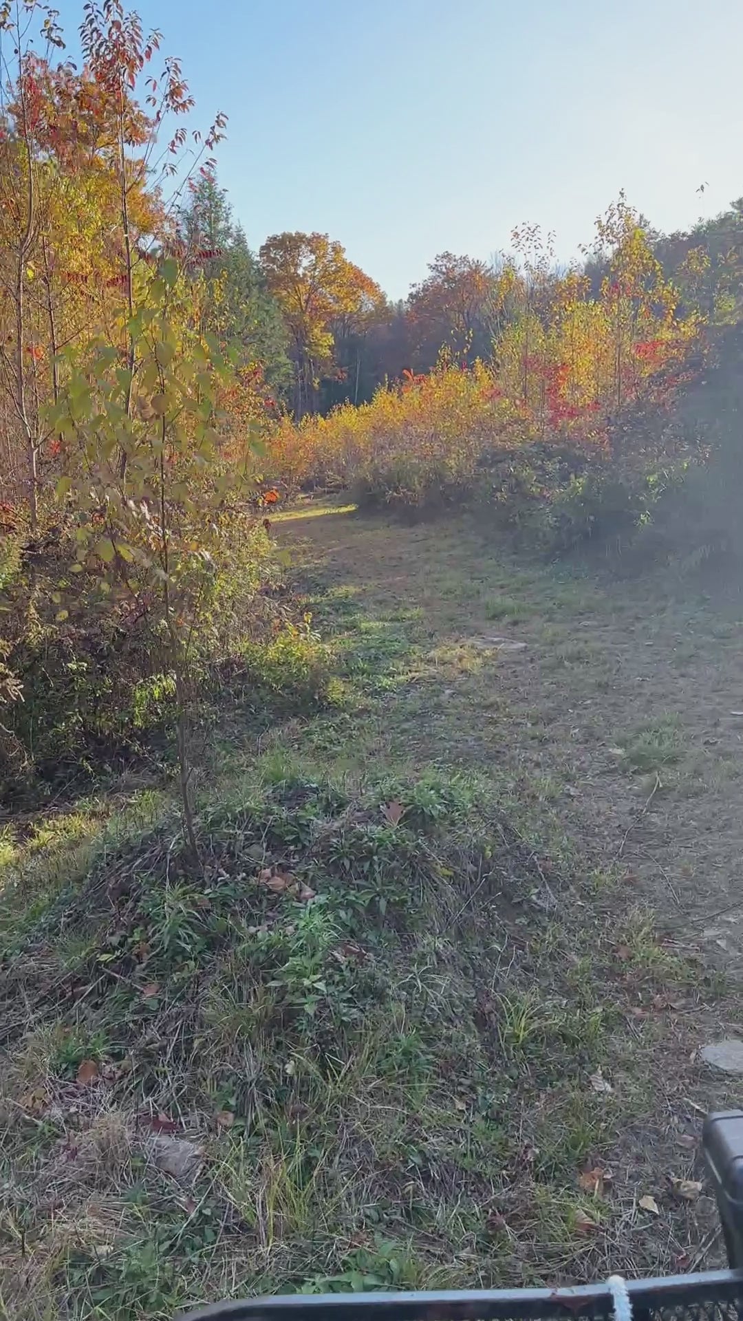 Uphill Terrain at the Nature View NH Estate