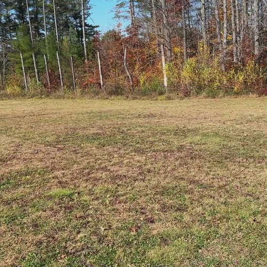 Front field  view