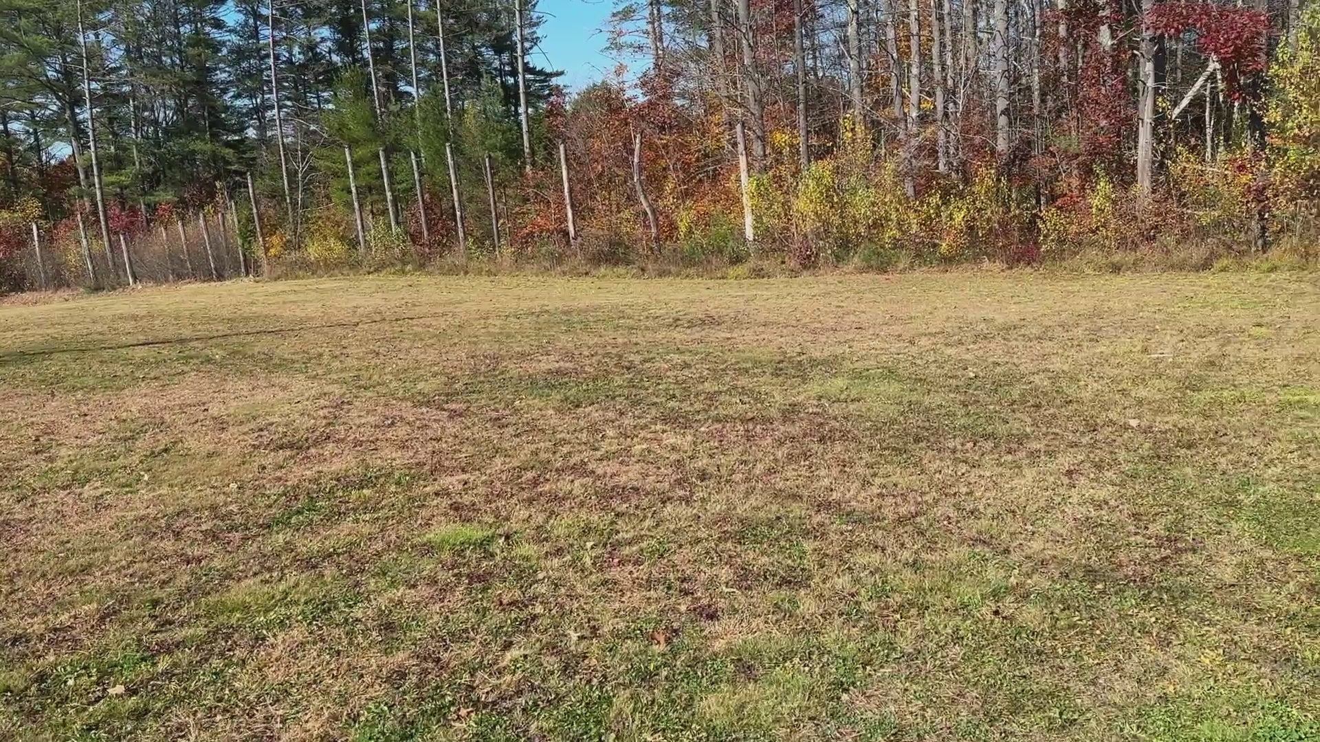 Front field  view