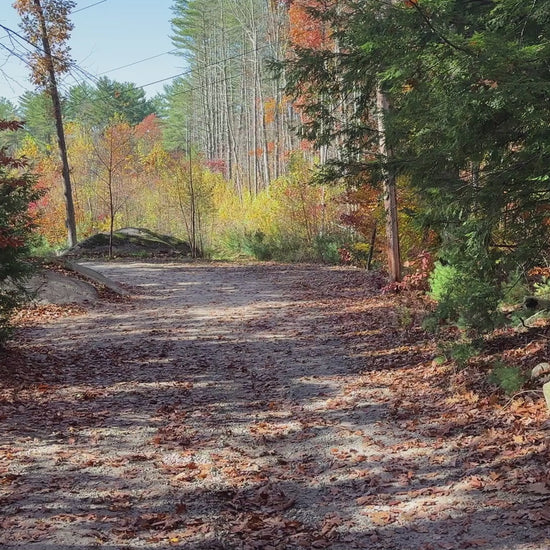 Driveway walking down looking at property