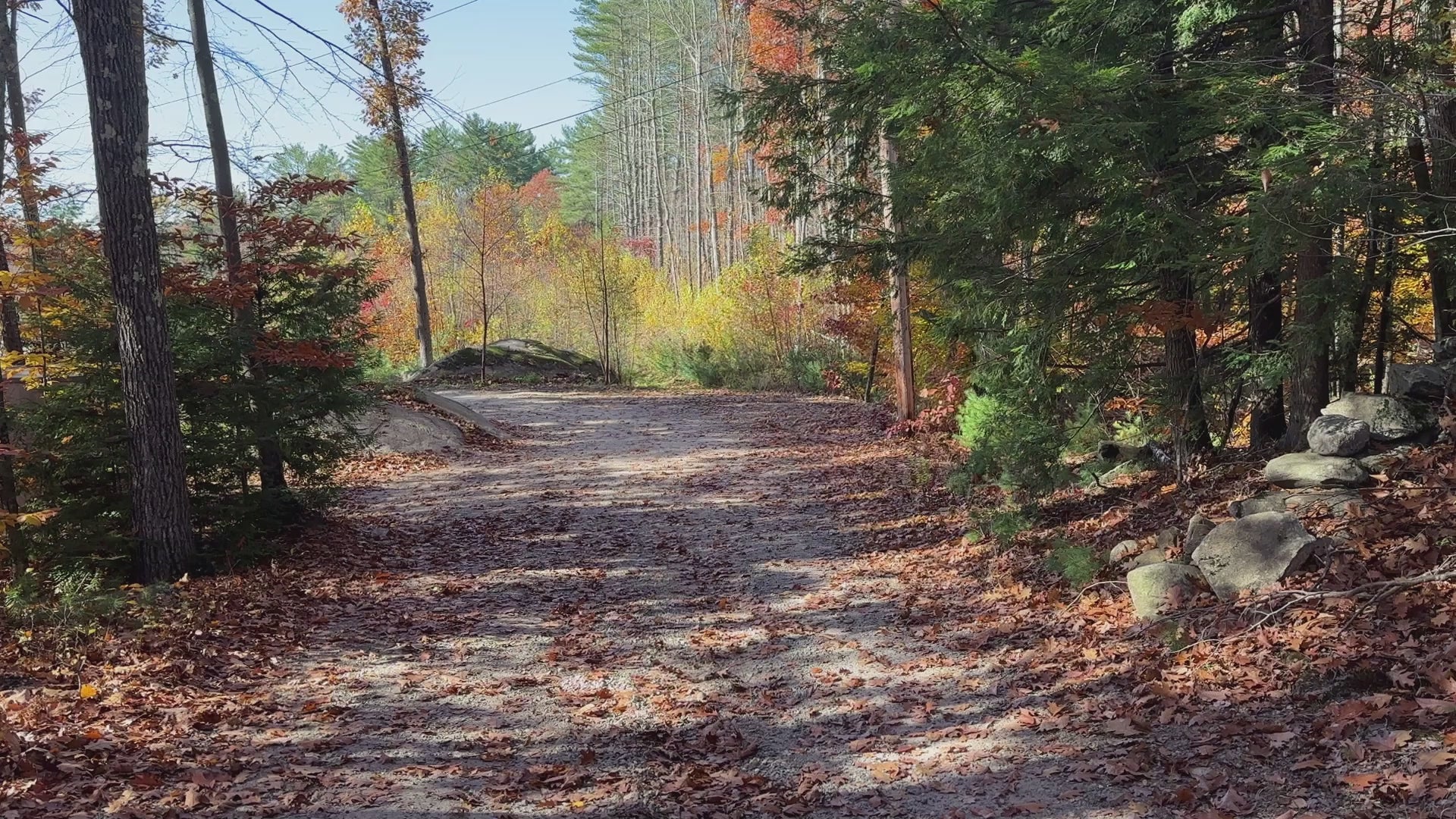 Driveway walking down looking at property