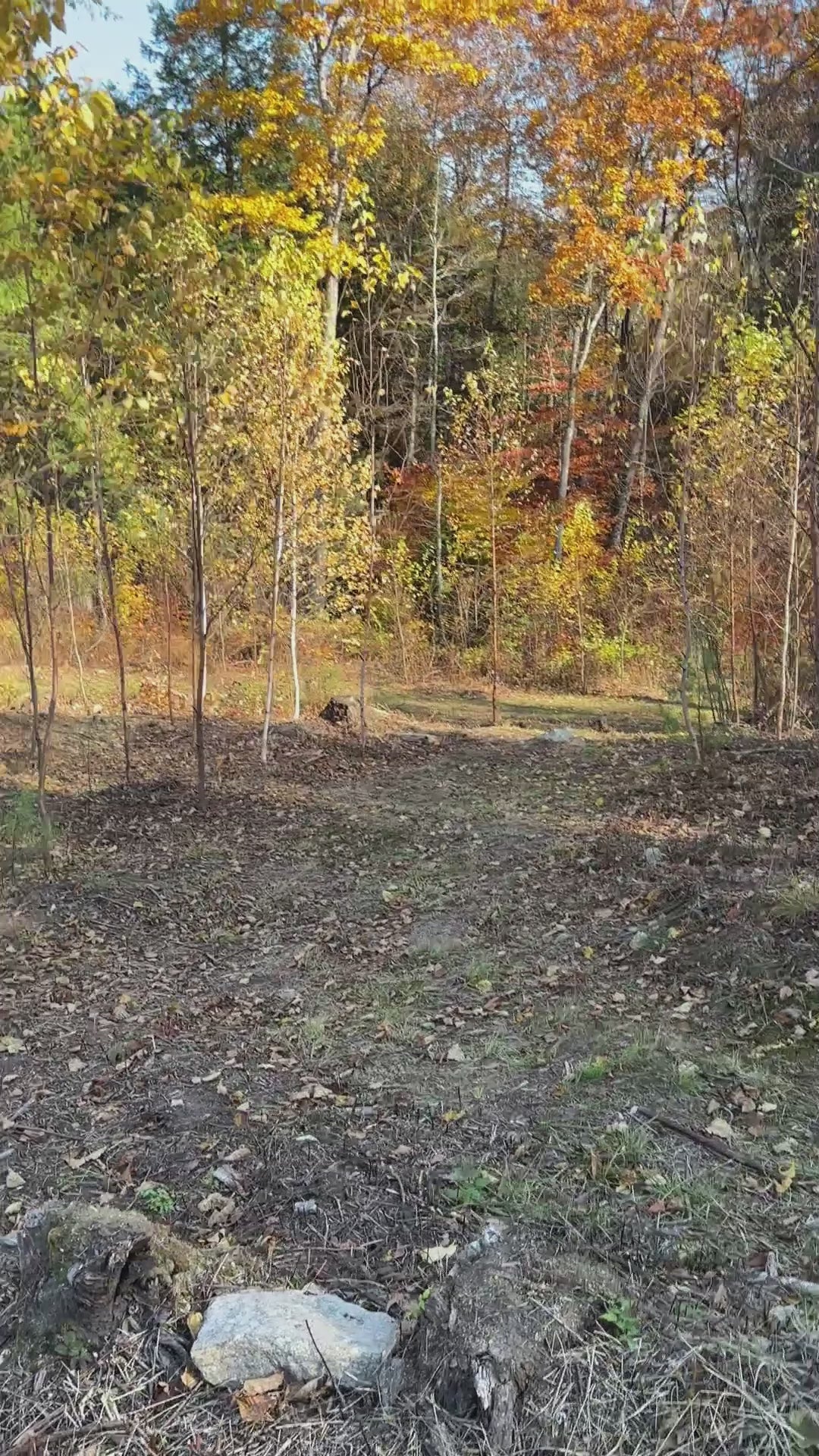 Base of Mountain Trail
