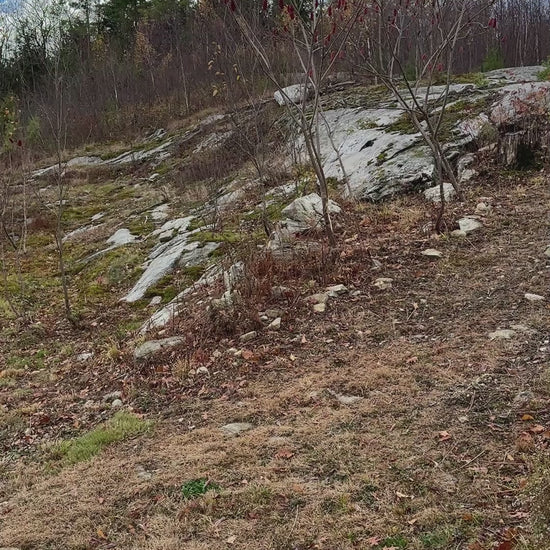 Trails in the fall